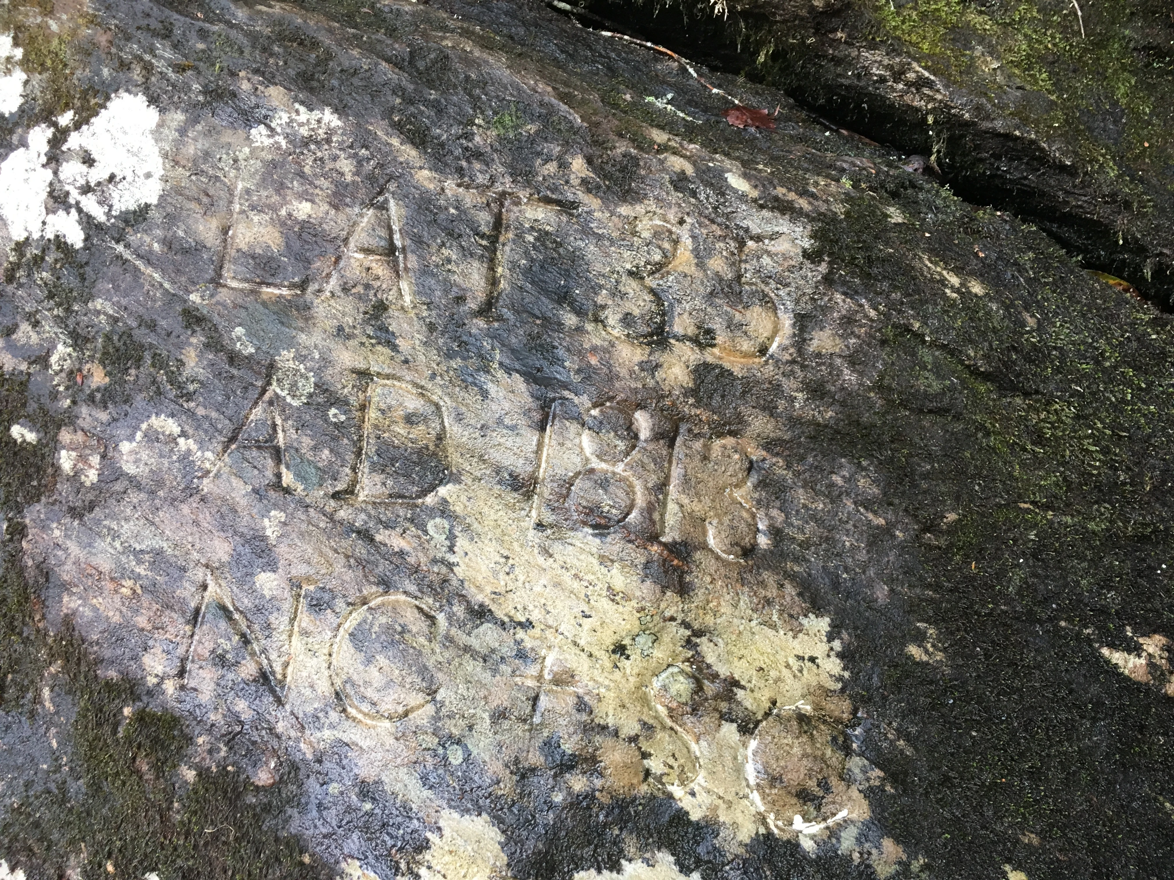 Close up view of historic letters and numbers chiseled into a dark mossy rock face.