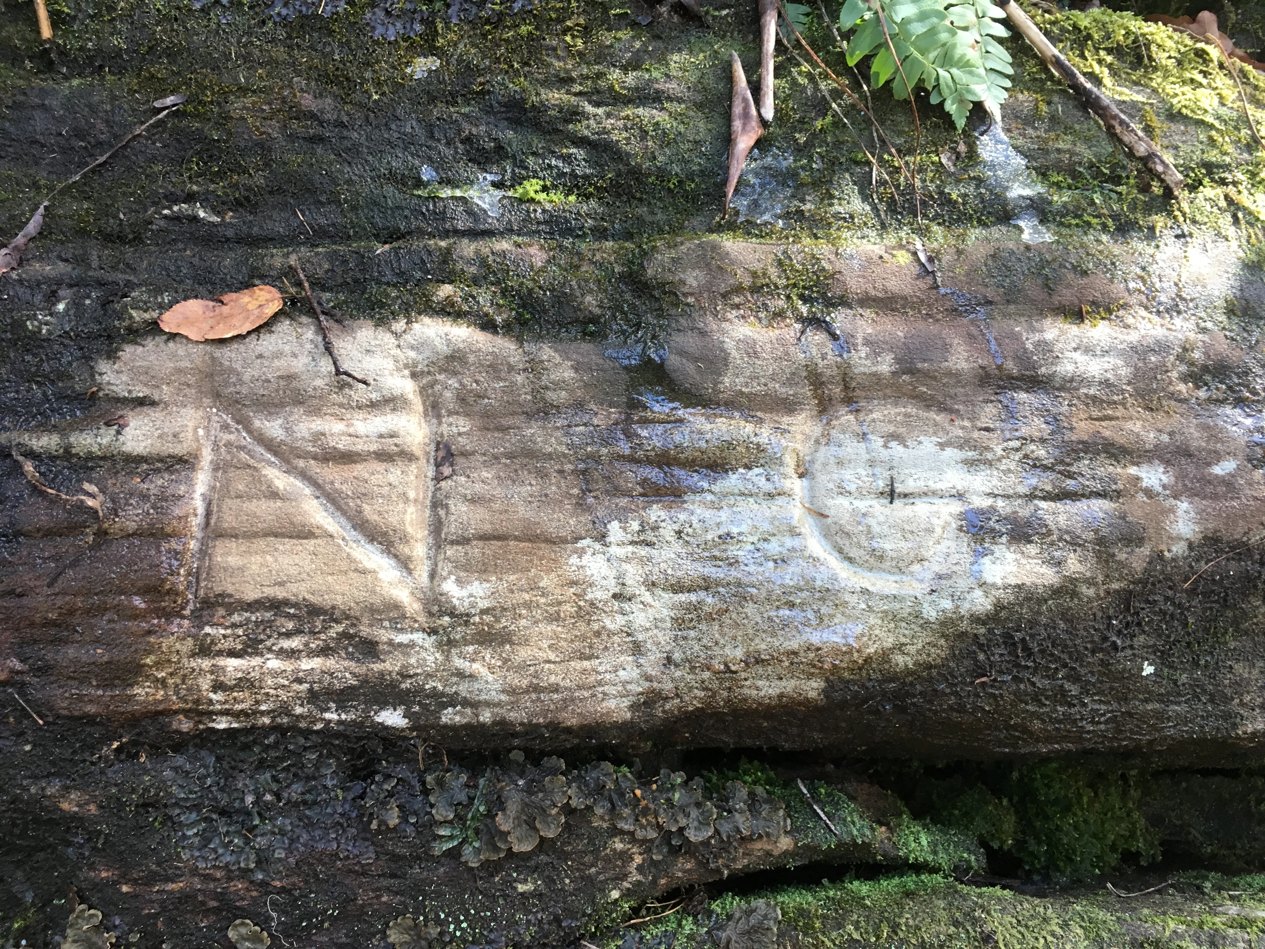 A close-up view of a historic inscription carved into a dark, moss-covered rock surface, showing the letters N and G.