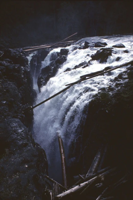 A powerful waterfall cascades through a narrow, dark rocky canyon, with logs caught on the rocks at the top and bottom of the falls.
