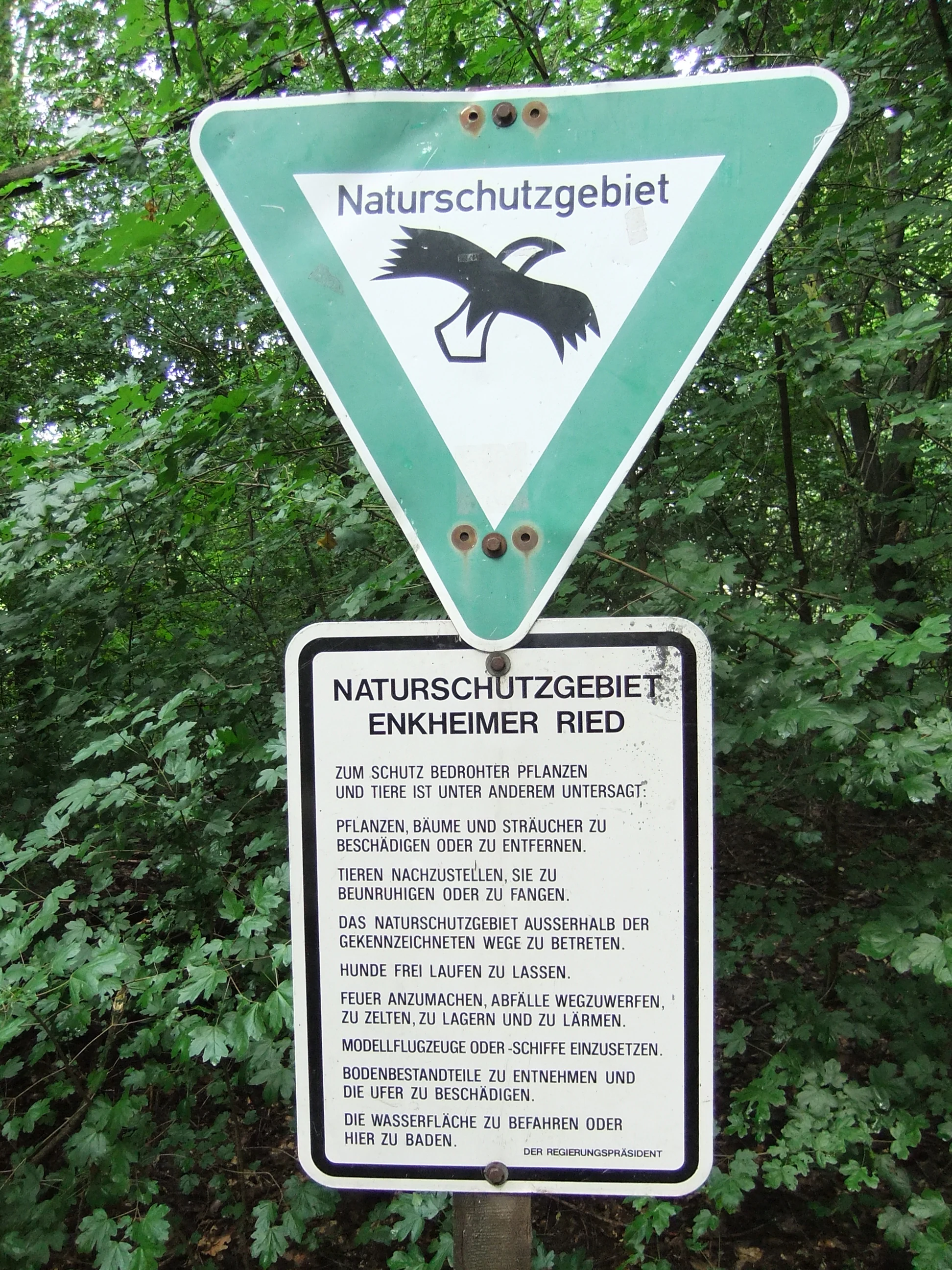 A triangular green and white nature reserve sign with a bird icon above a rectangular information sign listing prohibited activities in German, set against a background of green forest foliage.