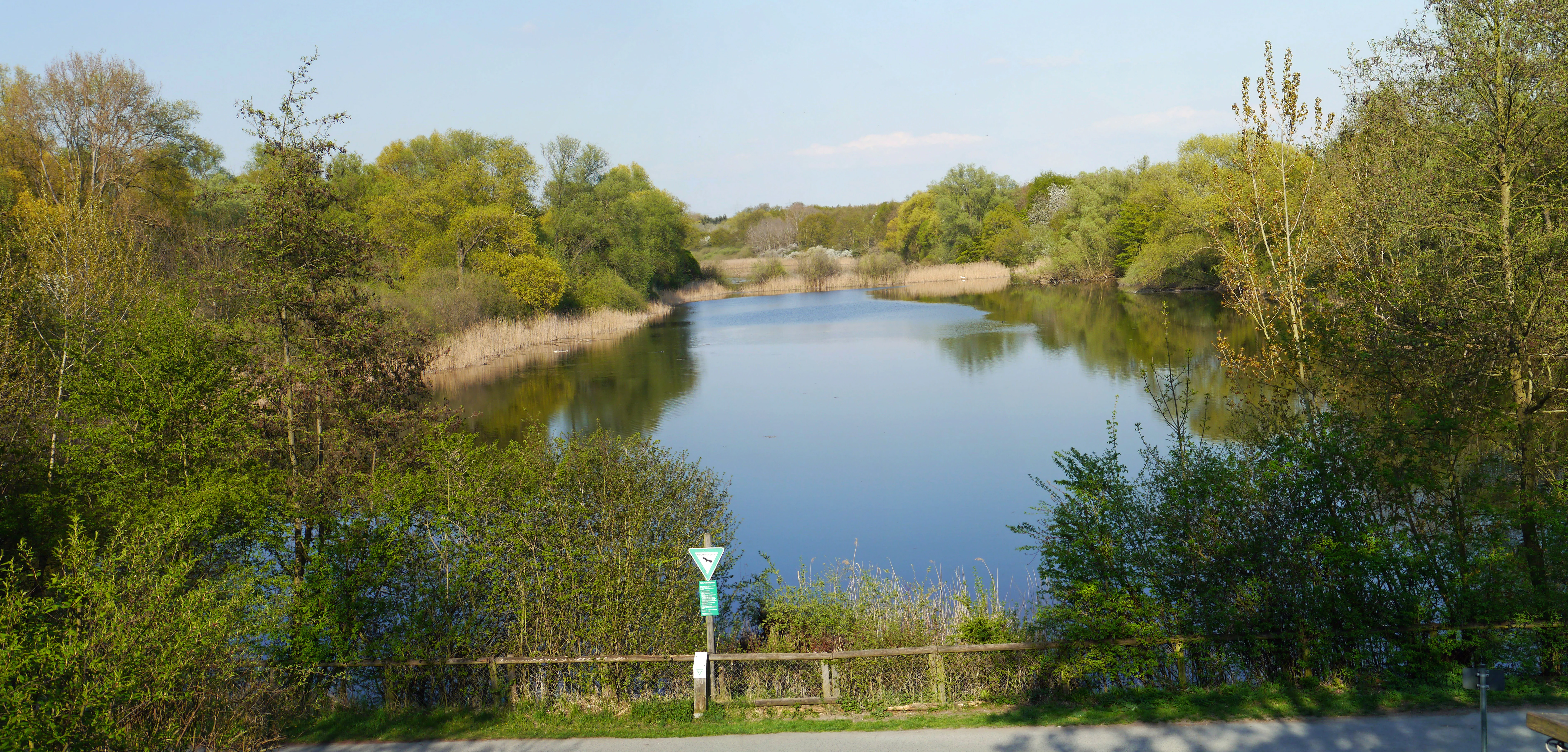 A calm, still pond surrounded by lush green trees and reeds, viewed from a slightly elevated position with a wooden fence and trail in the foreground.