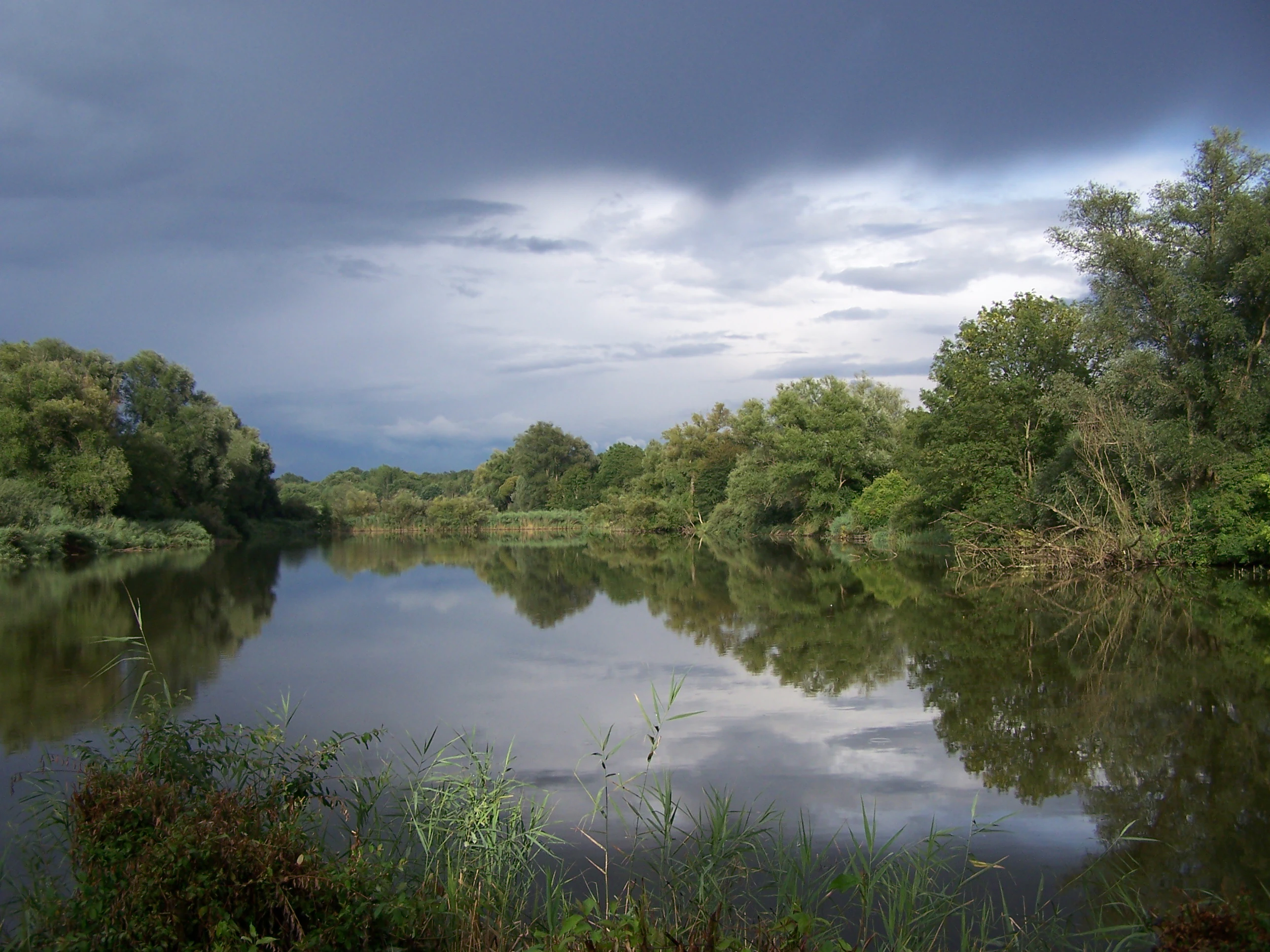 A calm, reflective pond surrounded by lush green trees and reeds under a dark, overcast sky.