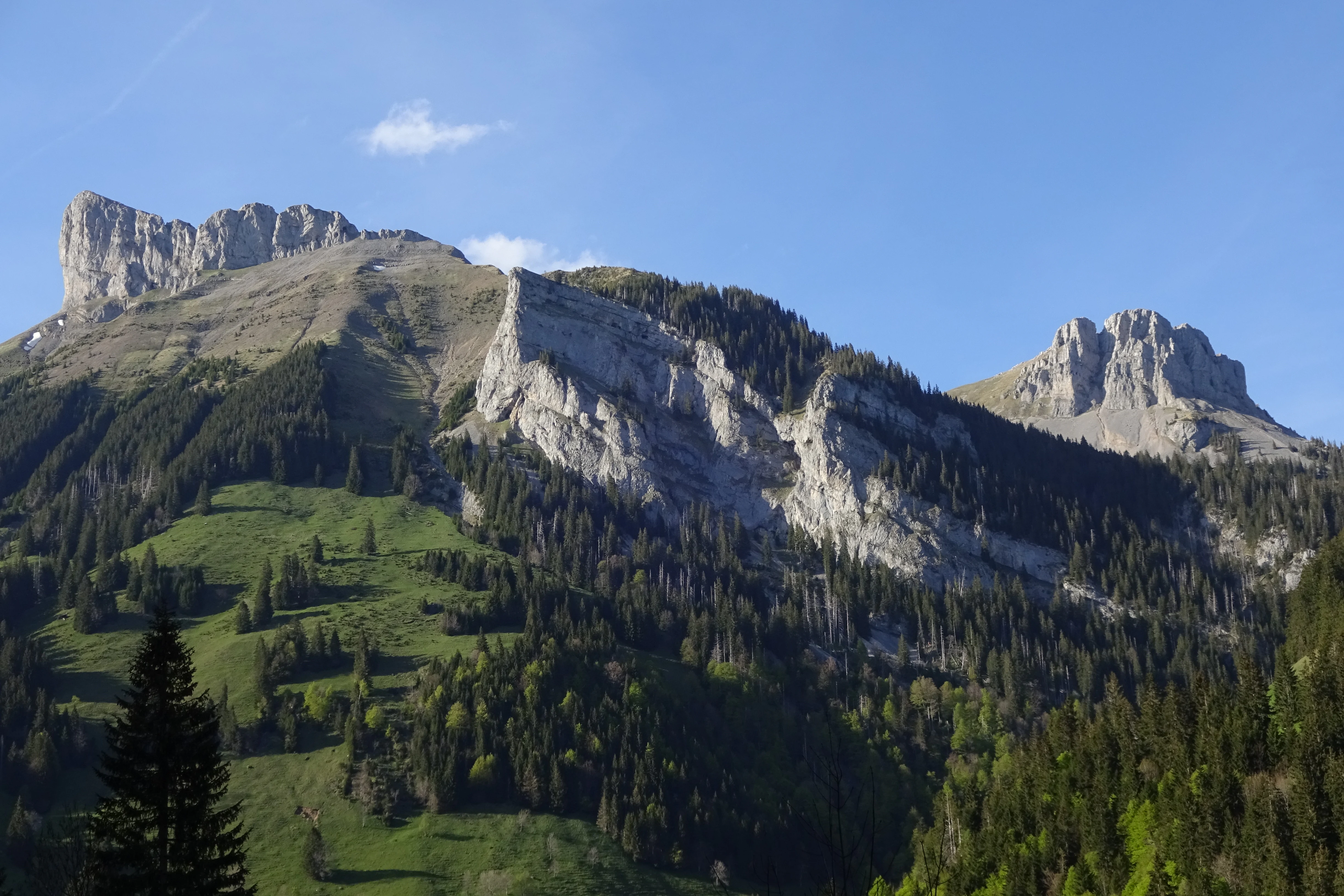 A wide angle view of the steep, jagged limestone crags of the Schrattenfluh mountain range, with dense pine forests and patches of green meadow on the lower slopes under a clear blue sky.