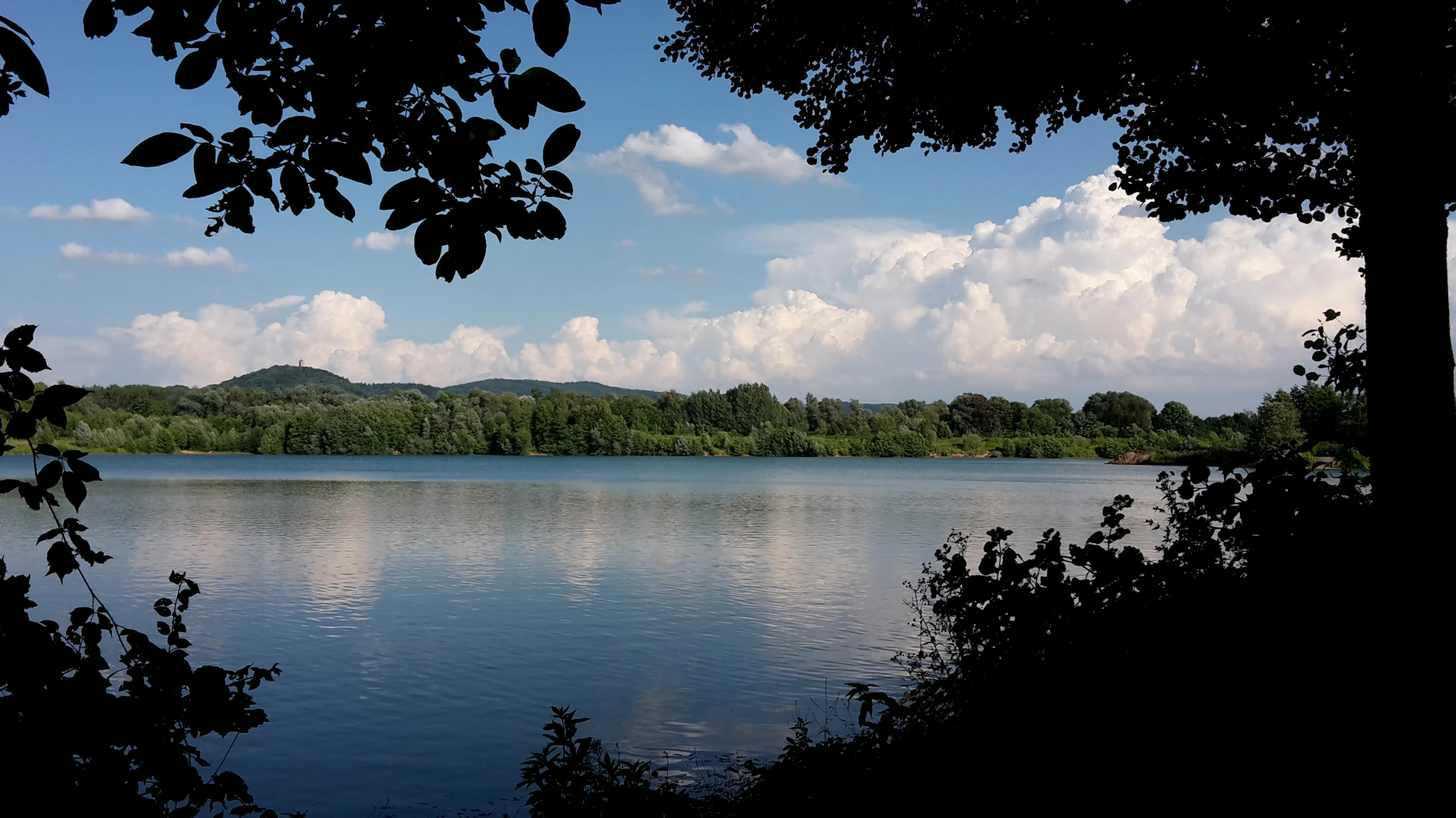 A peaceful lake view in the Erlache bei Bensheim nature reserve framed by dark tree silhouettes in the foreground, with rolling hills and white clouds in the background.