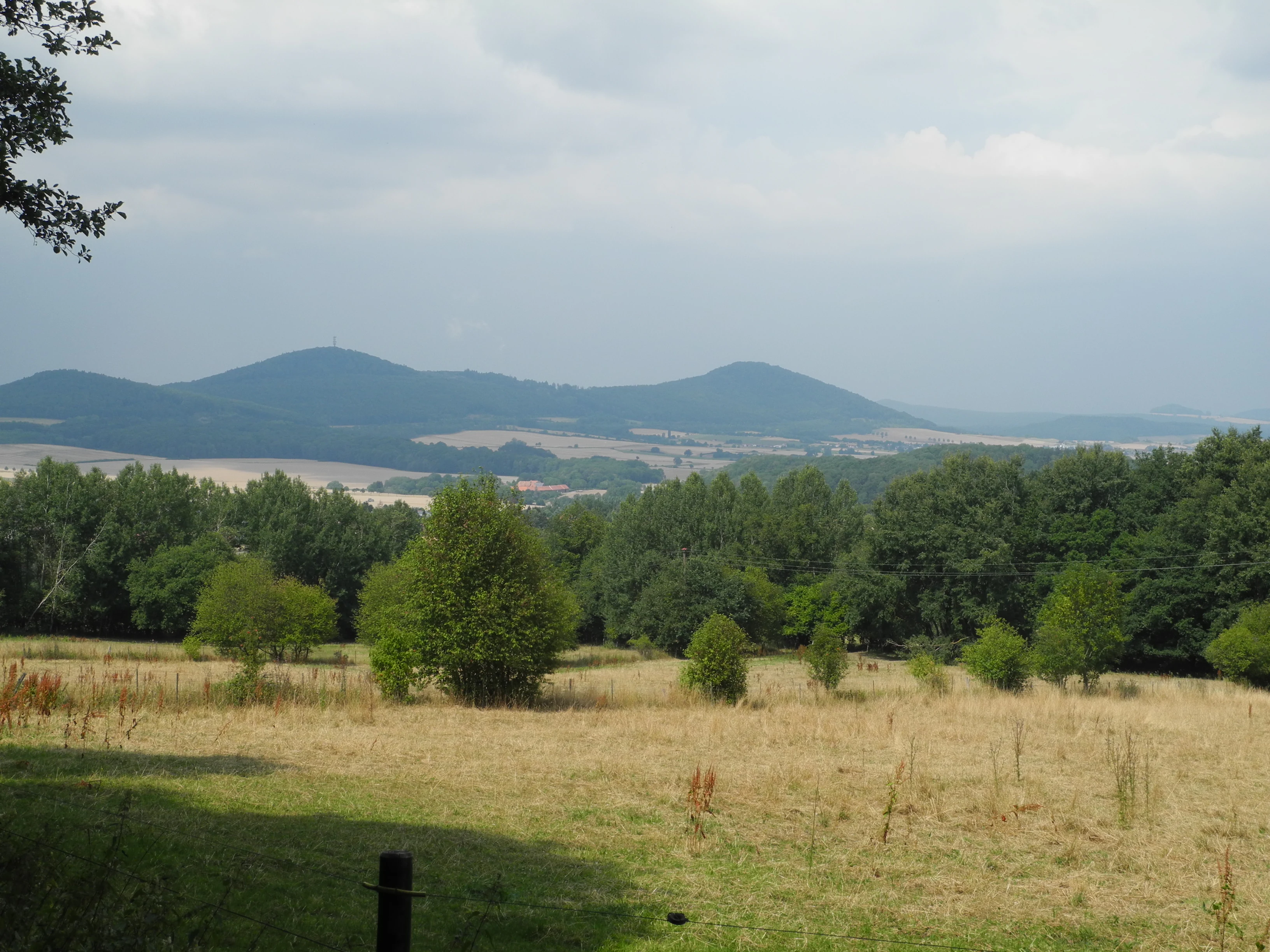 A wide landscape view of golden meadows in the foreground, transitioning to a dense green forest, with rolling hills and mountains in the distance under a cloudy sky.