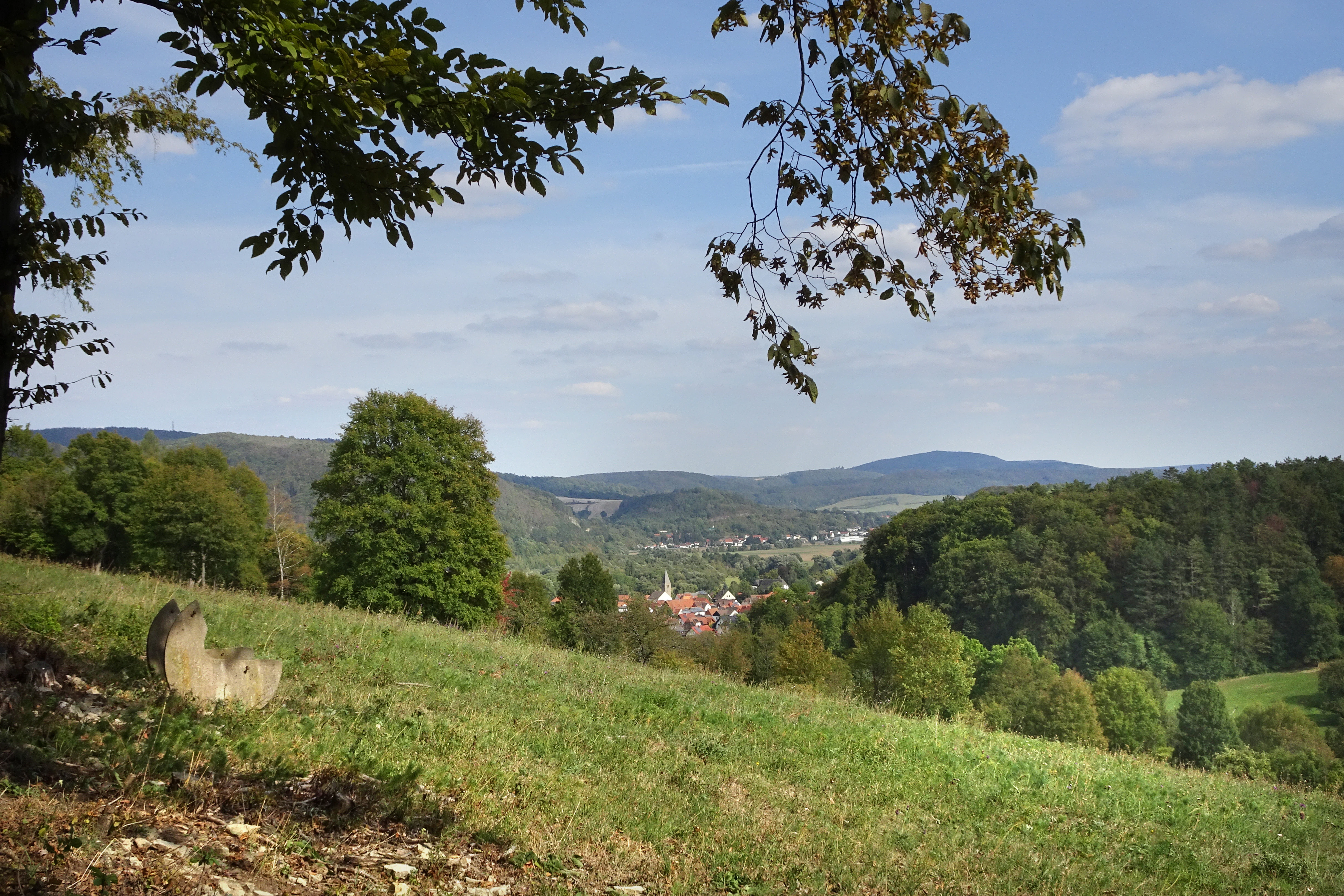 A wide view looking over a grassy, sloped meadow in the foreground toward a forested valley and a small town in the distance under a partly cloudy sky.