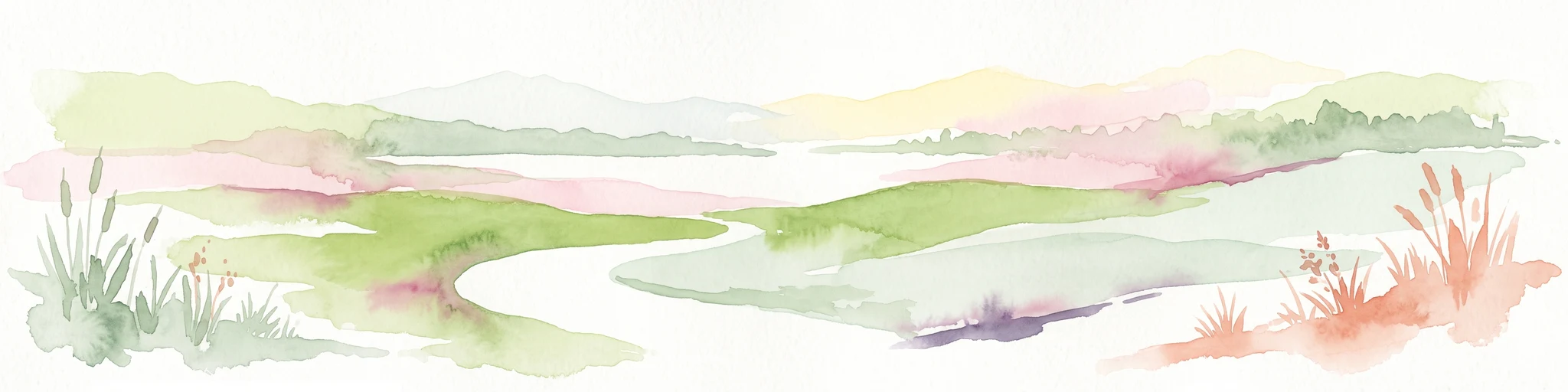 A horizontal watercolor illustration depicting a wetland landscape with grassy banks, a winding stream, and reeds.