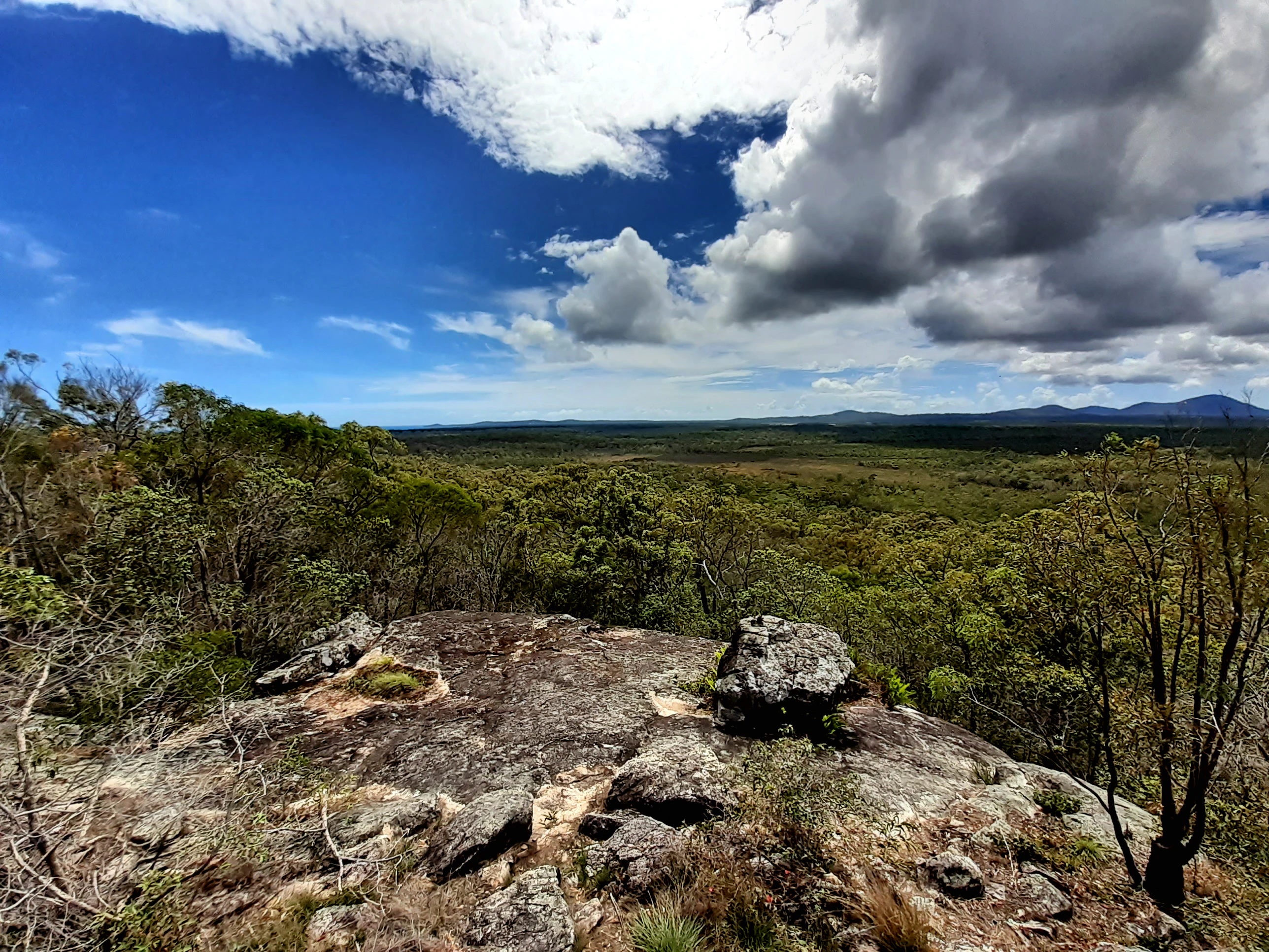 Colina rocosa con árboles dispersos y un paisaje boscoso distante bajo un cielo azul con nubes.