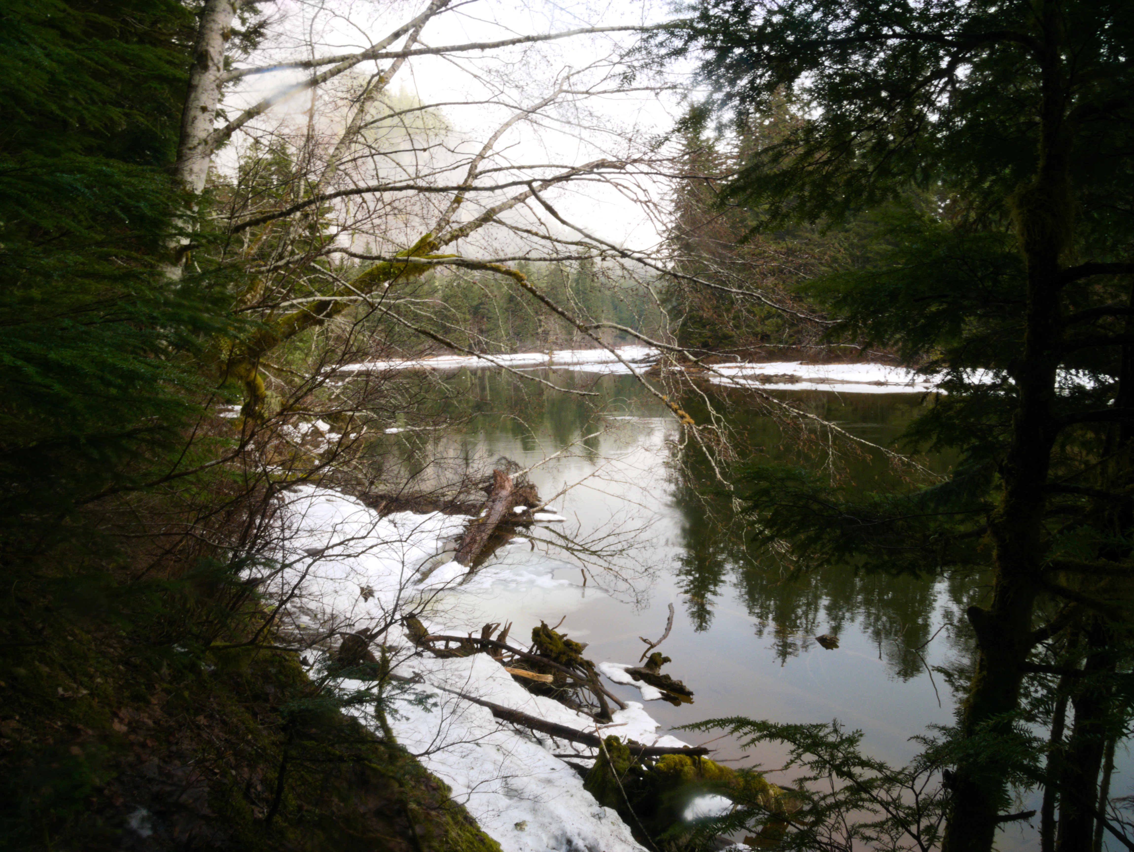 A calm river flowing through a forest in winter, with patches of snow along the muddy banks and tree branches framing the scene.