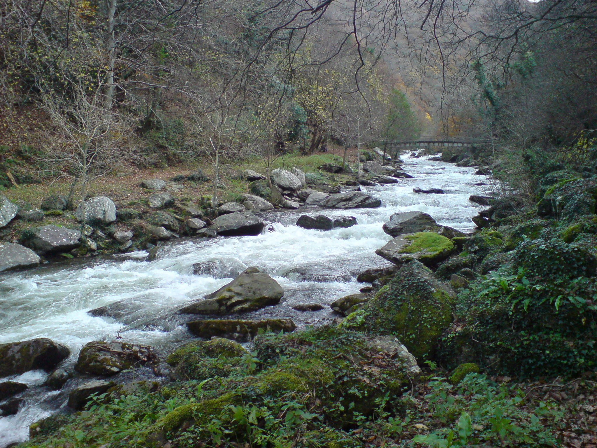 River flowing through rocky terrain with moss-covered boulders, surrounded by trees and vegetation.