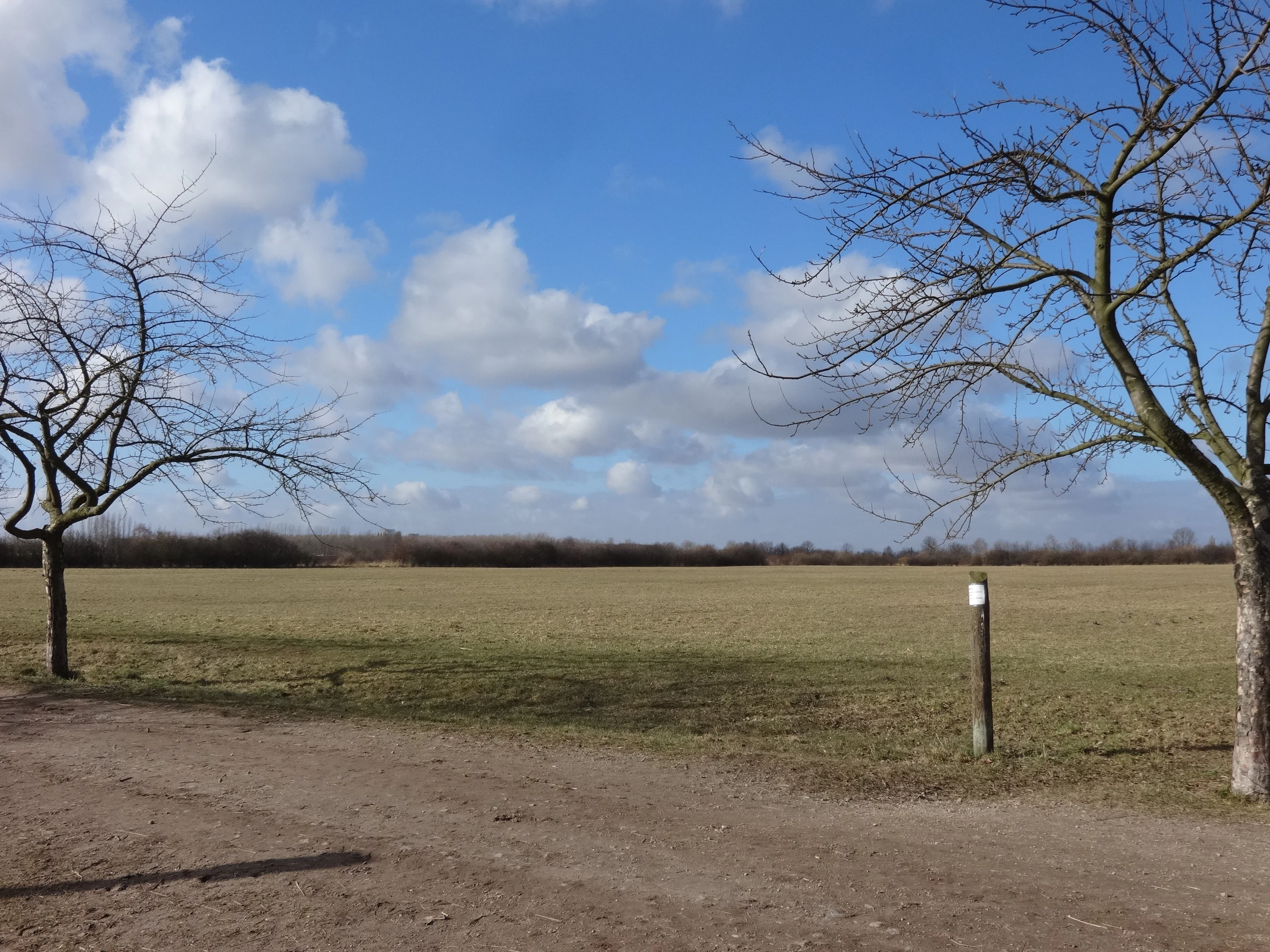 A wide, flat field in a nature reserve under a blue sky with scattered clouds, flanked by two bare trees and featuring a small wooden post with a white marker.