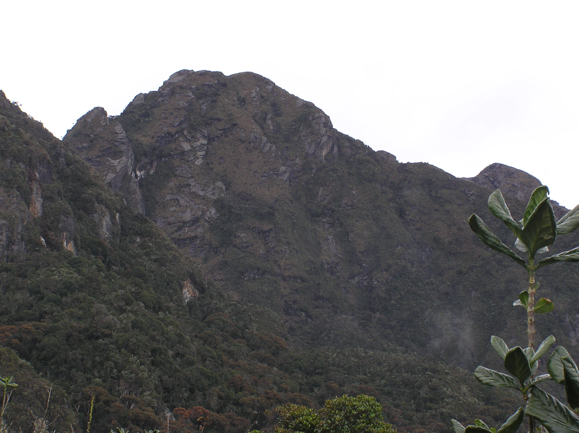 Cima de montaña con laderas rocosas y bosque denso debajo, vista desde la distancia
