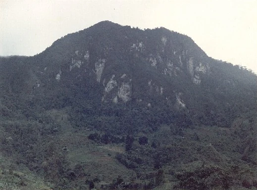 Una montaña con acantilados rocosos y laderas boscosas bajo un cielo nublado