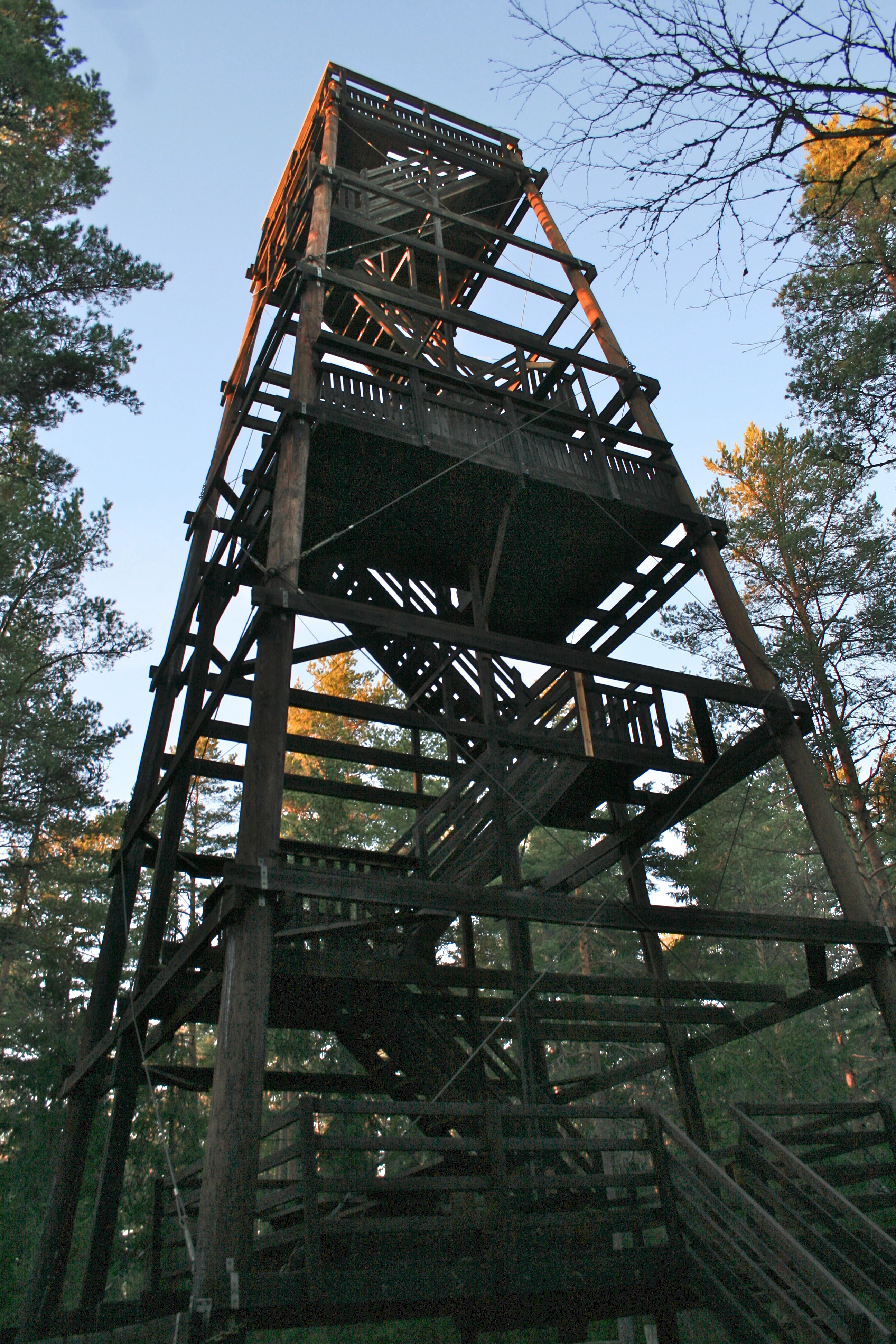 Tall wooden observation tower with multiple levels and railings surrounded by forest trees under a clear sky