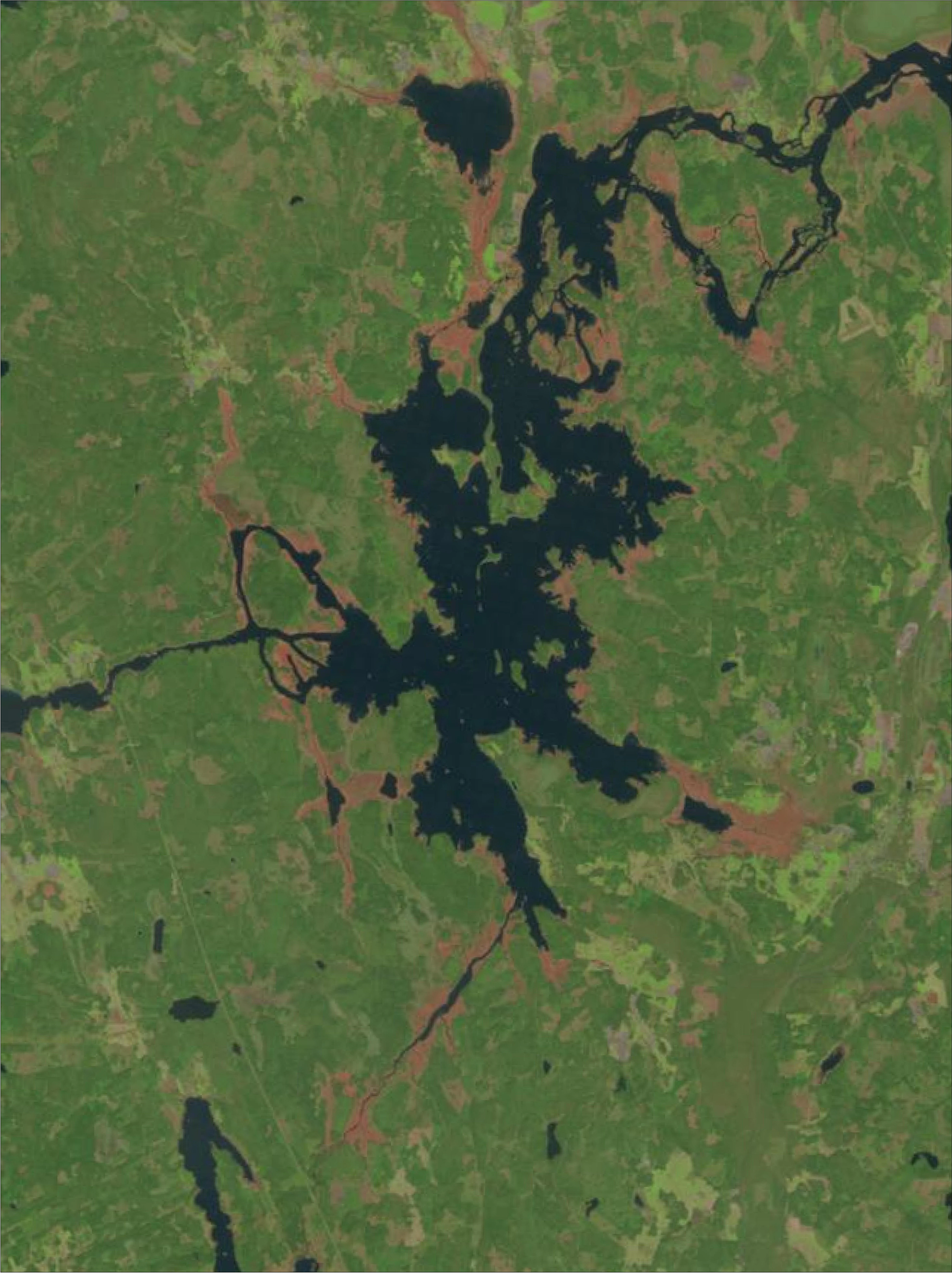 Satellite image showing the Dalälven river and flooded areas within Färnebofjärden National Park, with various shades of green representing forested areas and dark blue representing water bodies