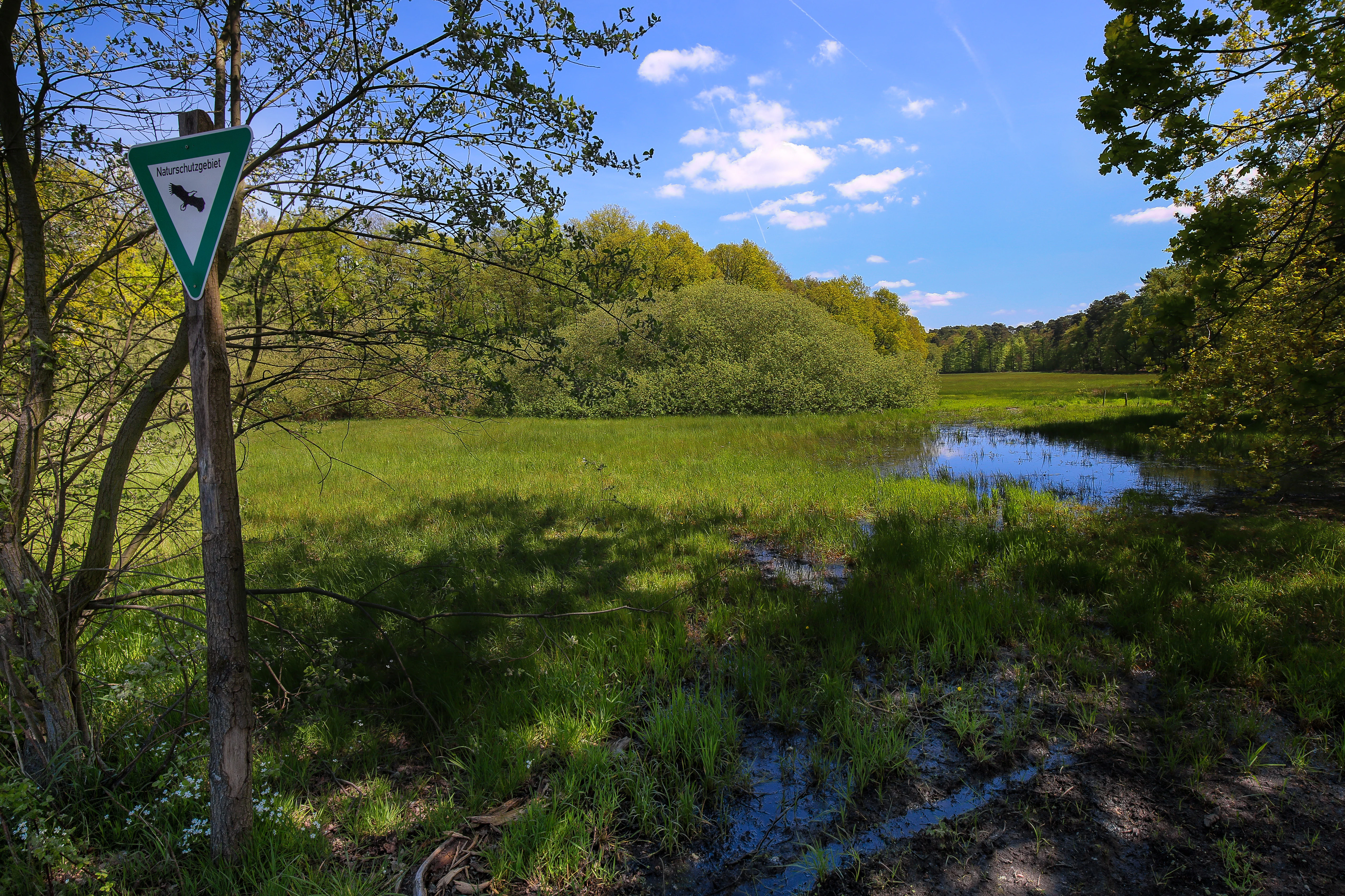 A green, grassy wetland meadow with a small pond surrounded by trees, viewed under a blue sky. A triangular nature reserve sign is mounted on a wooden post in the foreground left.