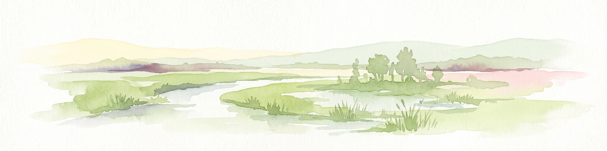 A soft watercolor painting of a winding stream through a green wetland with trees and distant hills in the background.