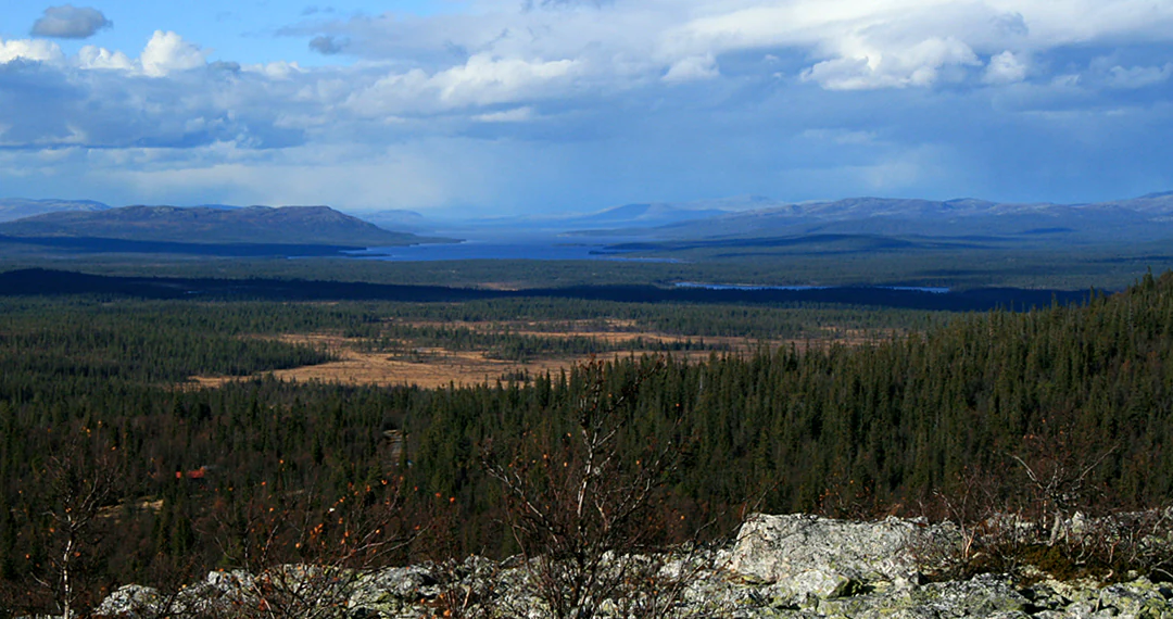 Wide landscape view of Femunden Lake surrounded by dense coniferous forests and distant mountains under a partly cloudy sky