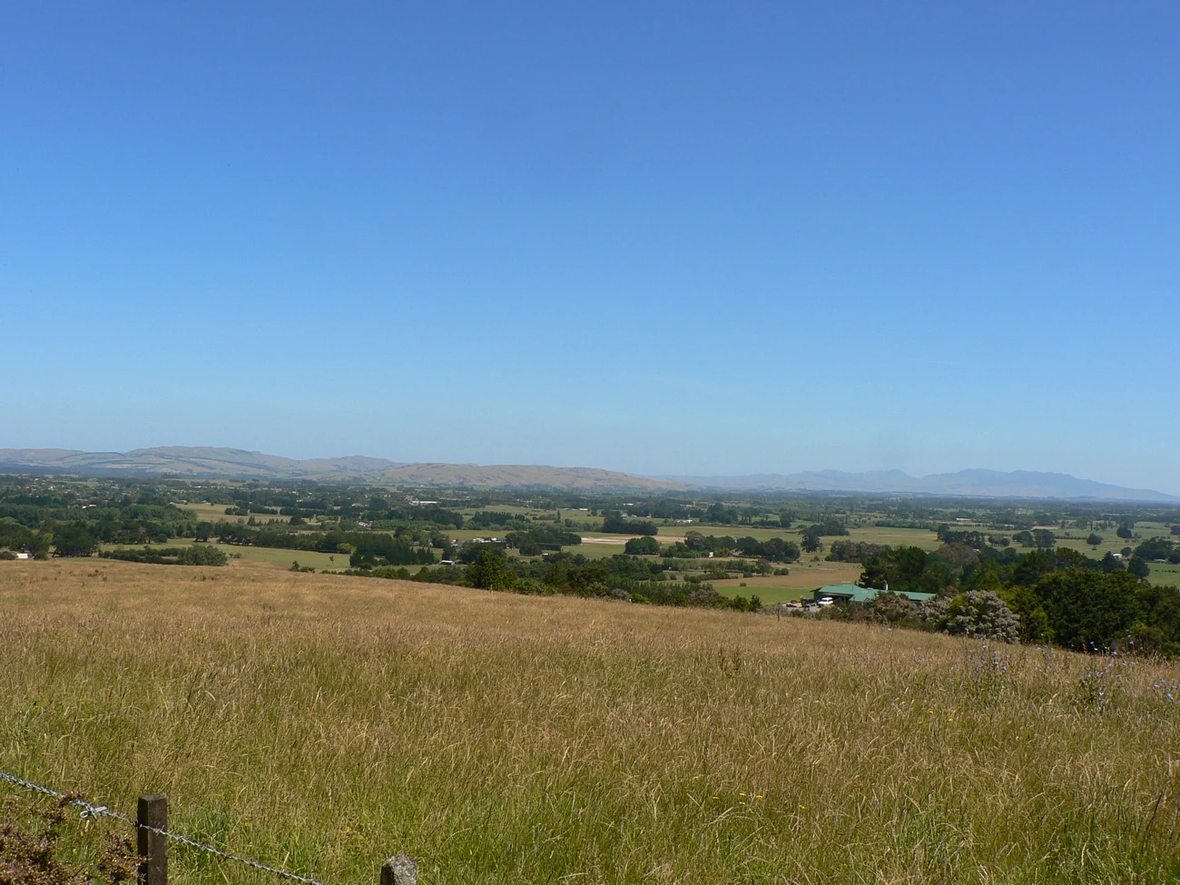 An expansive, elevated view of a flat rural landscape with golden grass fields in the foreground, scattered trees, and distant low hills under a clear blue sky.