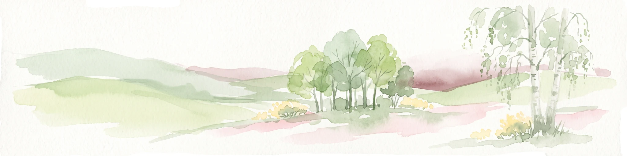 Una suave ilustración en acuarela de un paisaje verde ondulado con un pequeño grupo de árboles y abedules en primer plano, sobre un fondo pálido.
