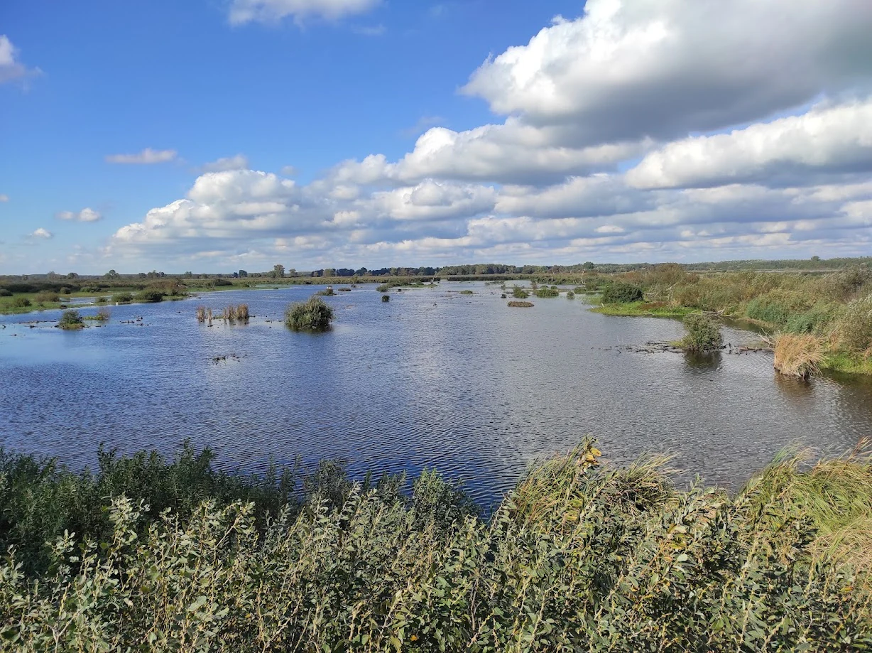 A wide view of a large body of water with scattered islands and vegetation under a partly cloudy sky