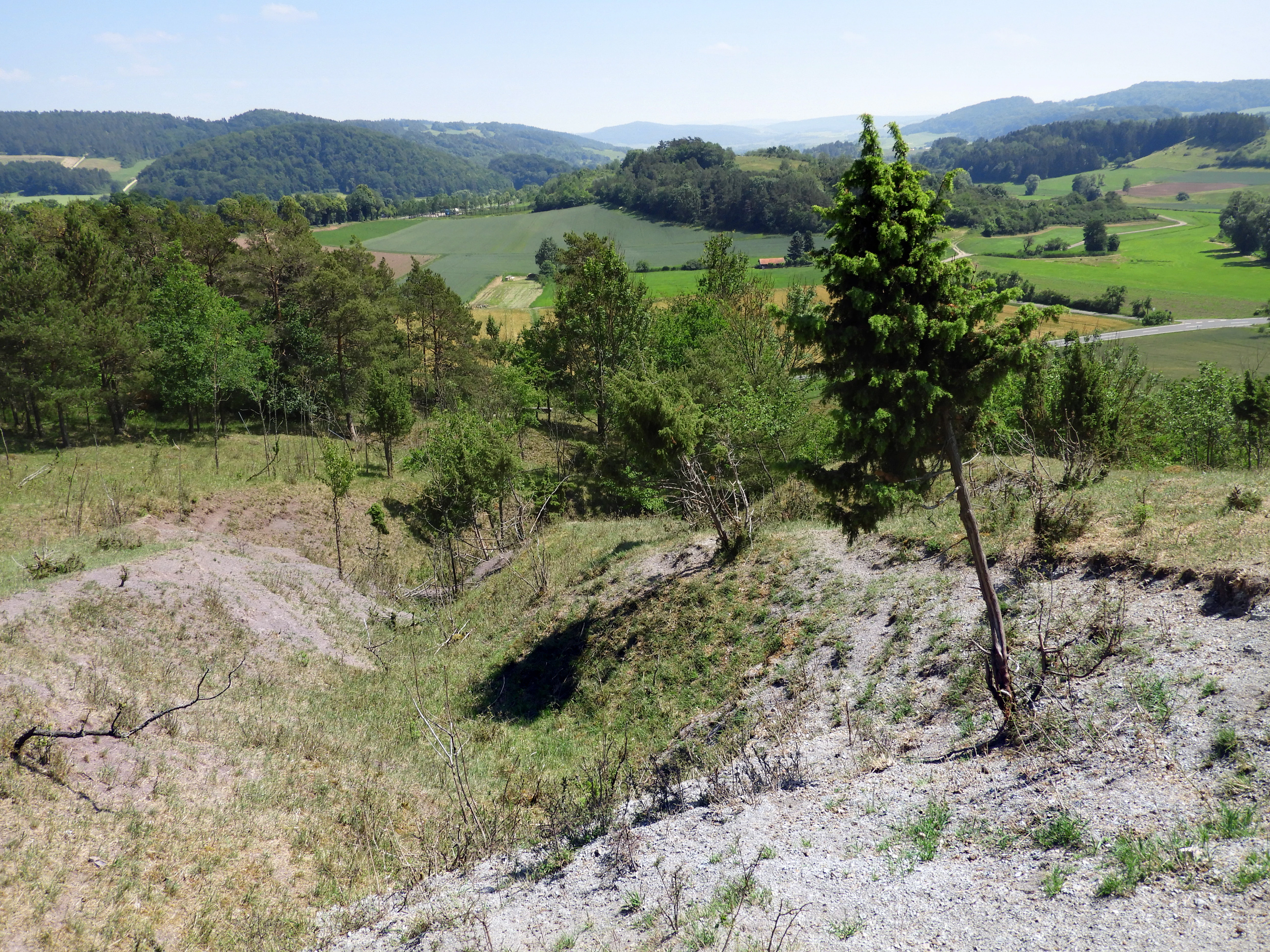 Una cárcava de erosión con pendiente descendente, vegetación escasa y suelo arenoso en primer plano, con vistas a un valle verde con prados y colinas boscosas a lo lejos.