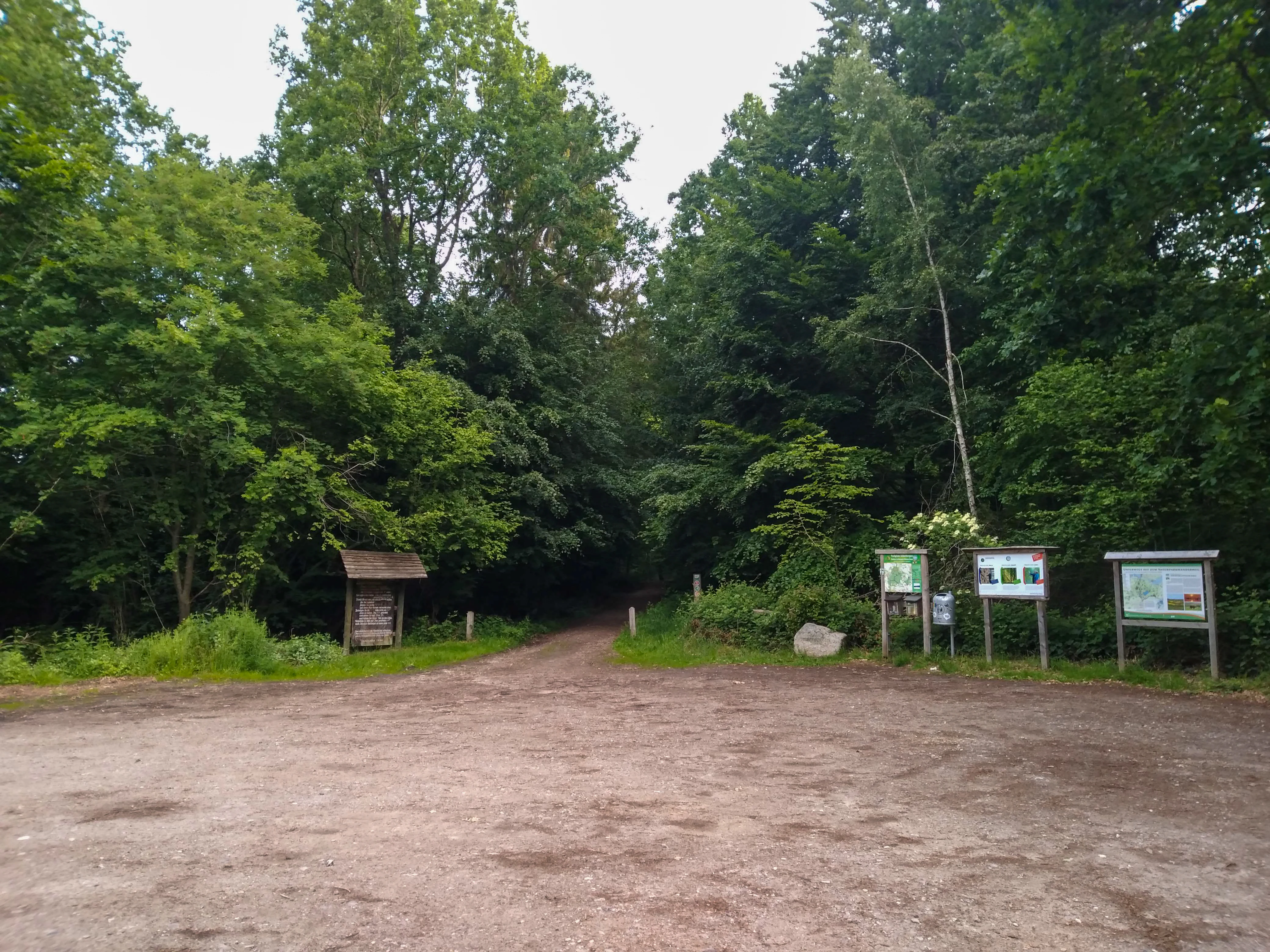 A gravel trail entrance flanked by several wooden information signs and forest trees.