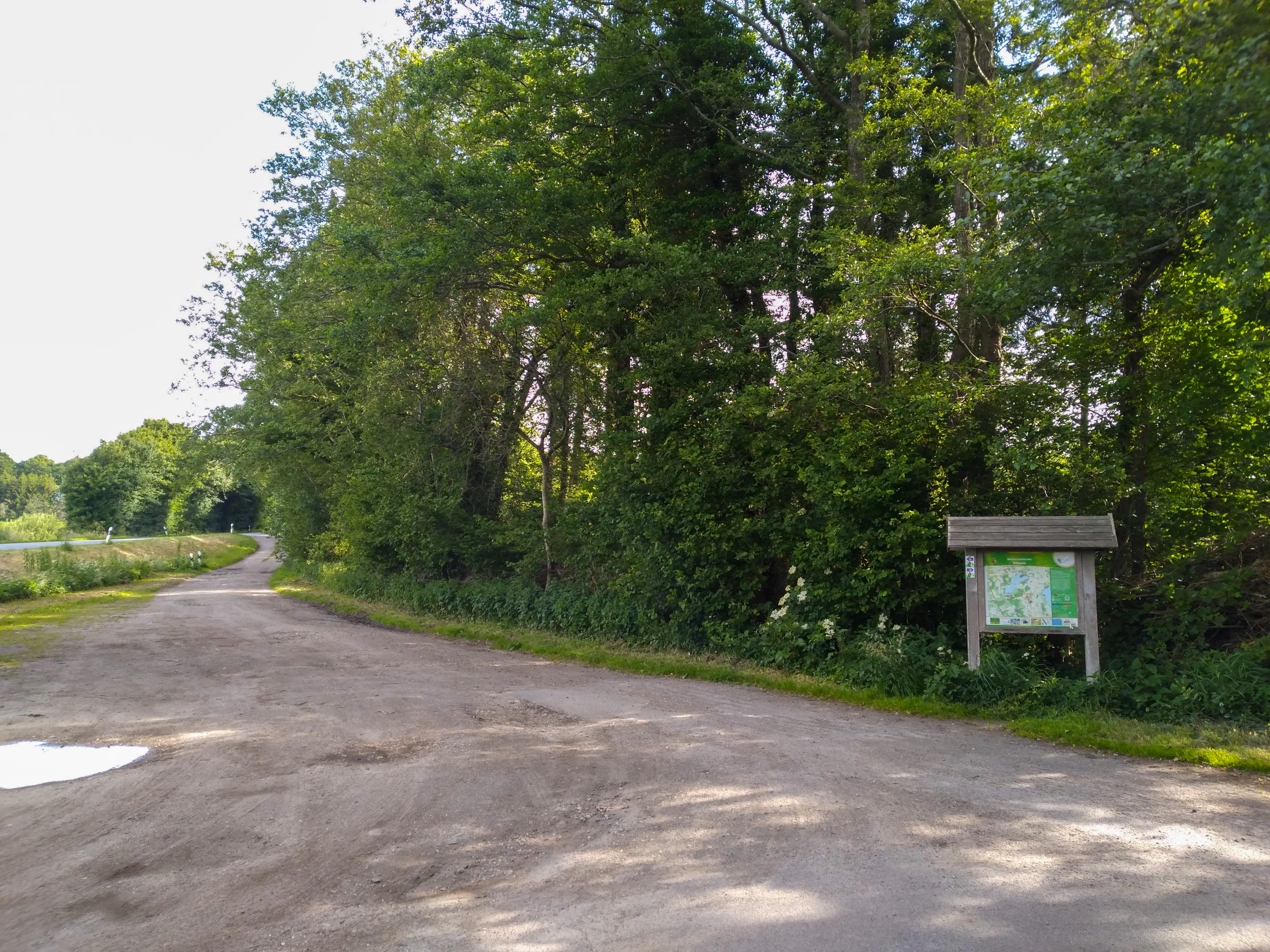 A dirt path leading into a dense green forest, with a wooden information signpost located on the right side of the trail.