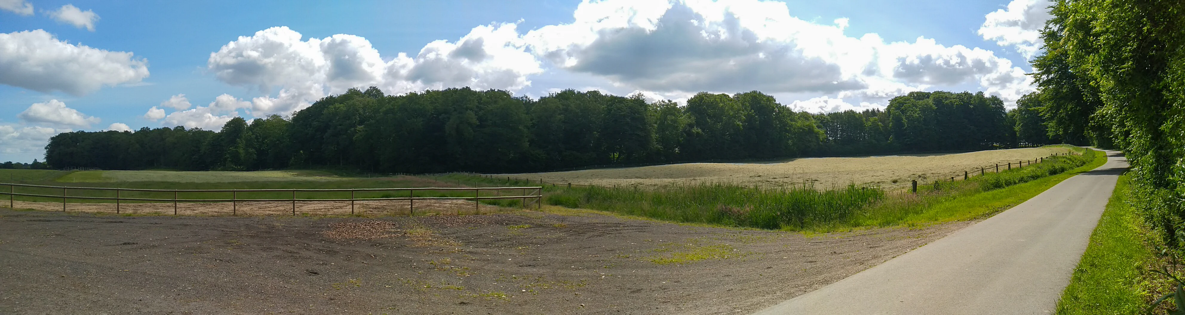 A wide panoramic view of a rural landscape in Germany, featuring a paved road leading toward a dense green forest, with a fenced field in the foreground.