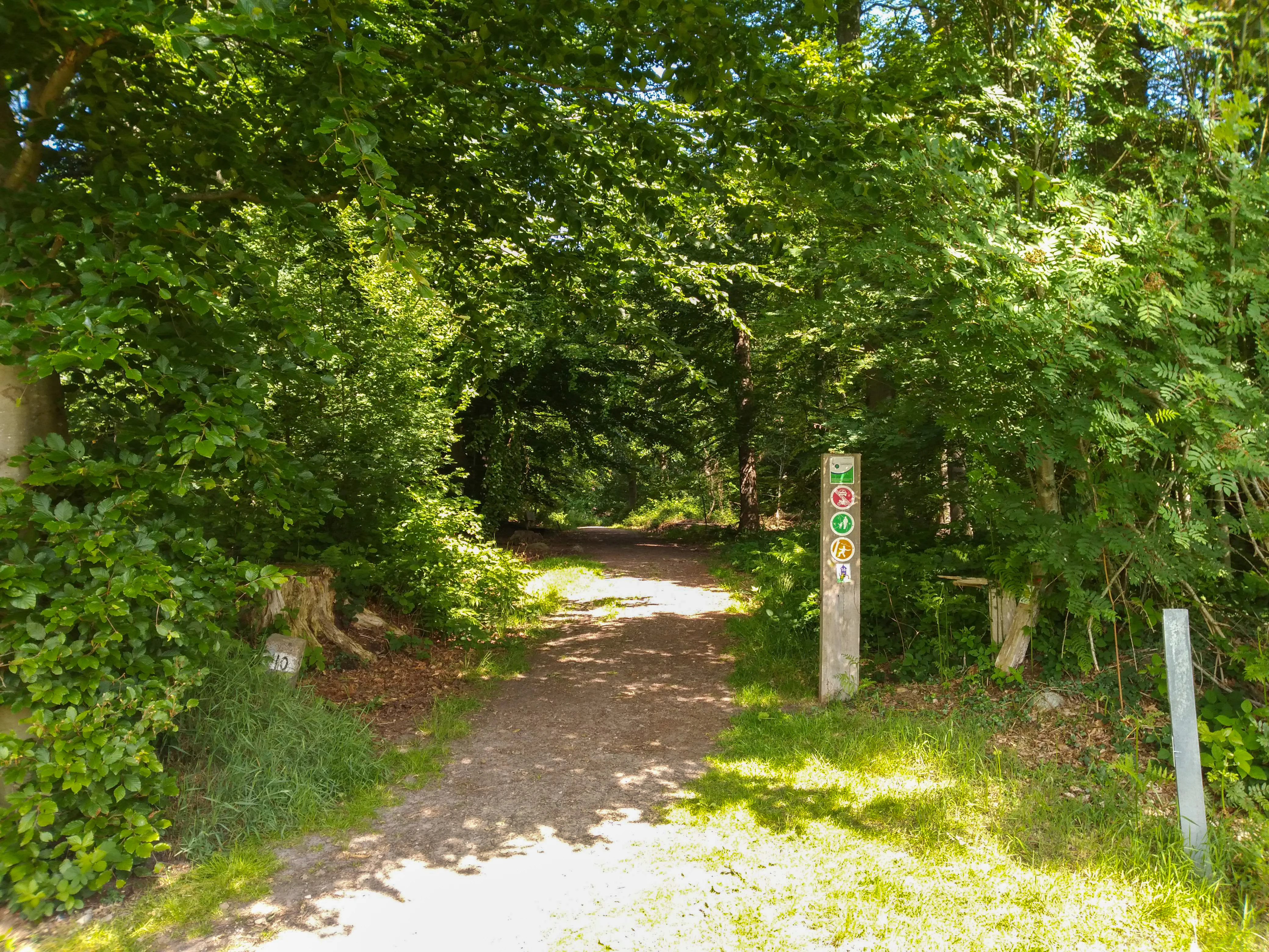 A narrow dirt path framed by dense green forest trees, with a wooden trail marker post featuring colored symbols on the right side.