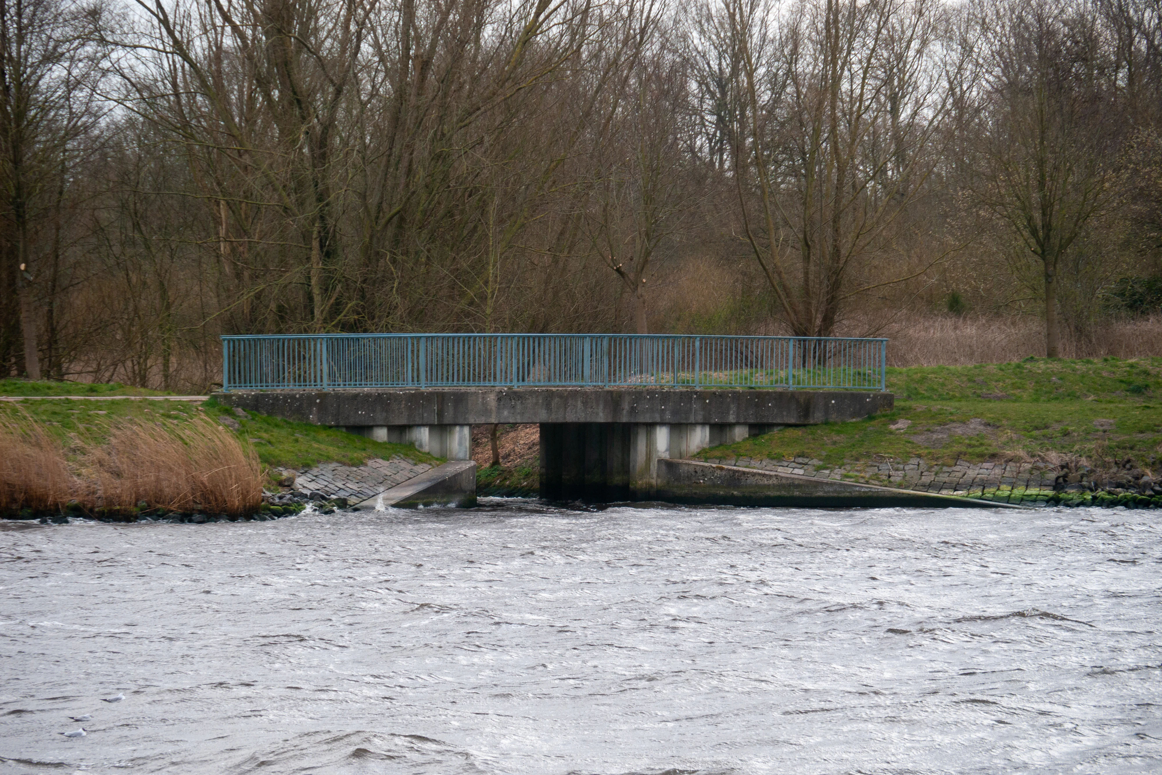 A small concrete bridge crosses over a stream where it flows into a larger waterway, set against a backdrop of bare winter trees.