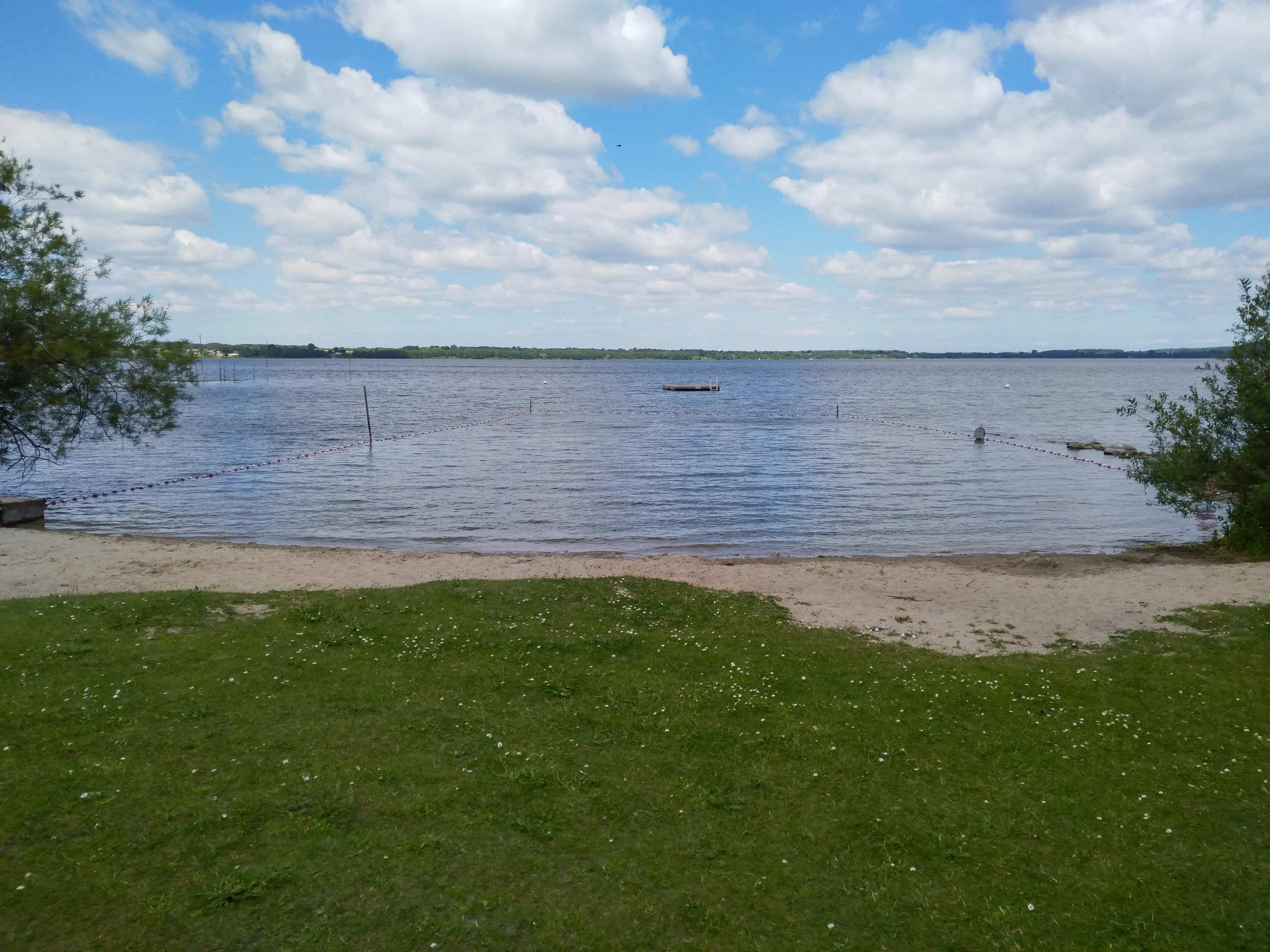 A sunny view across Wittensee lake with a green grassy foreground, a sandy shore, and calm water under a blue sky with scattered clouds.