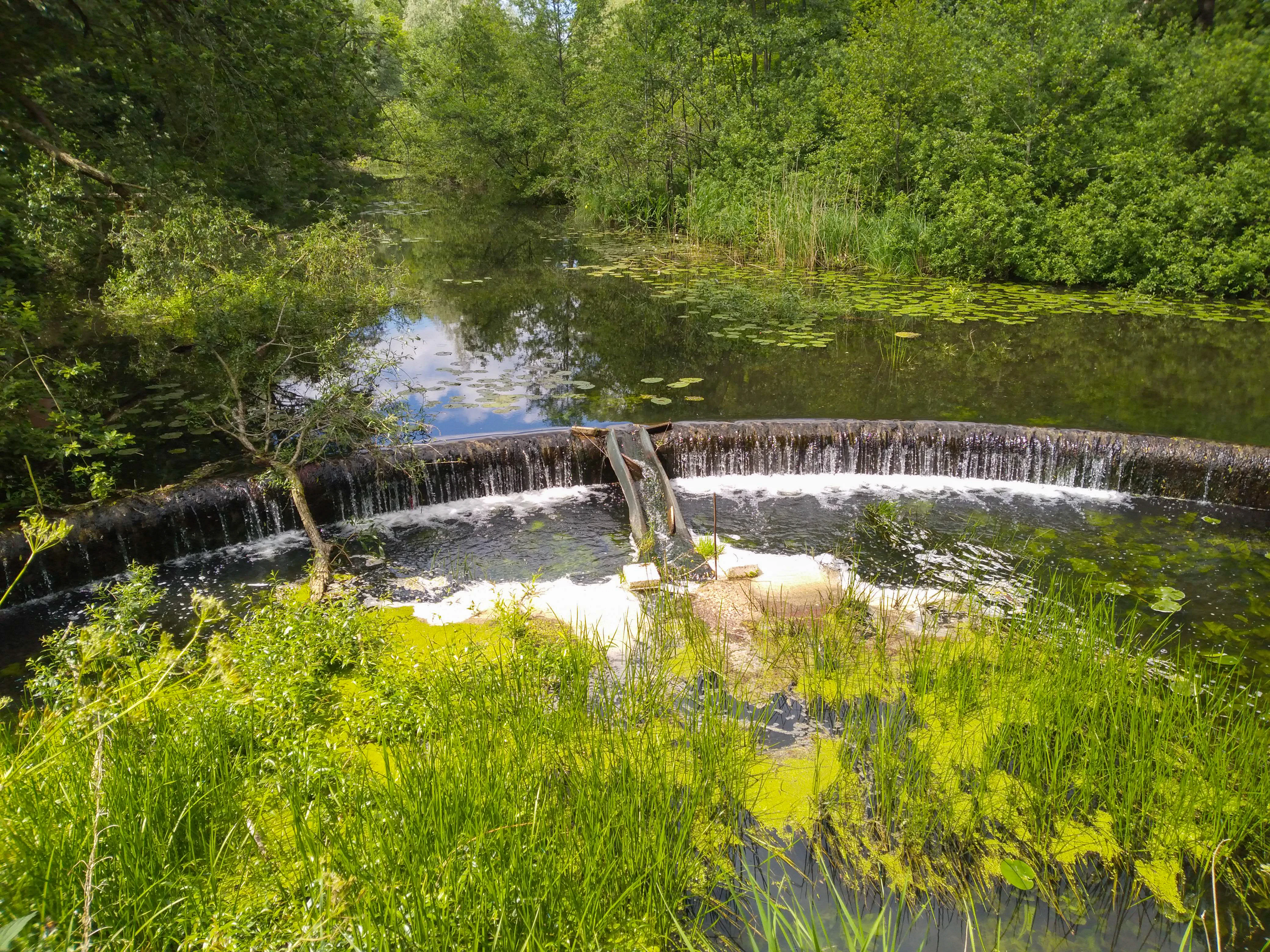 A small arched weir creating a waterfall on the Schirnauer Au, surrounded by lush green foliage and forest.