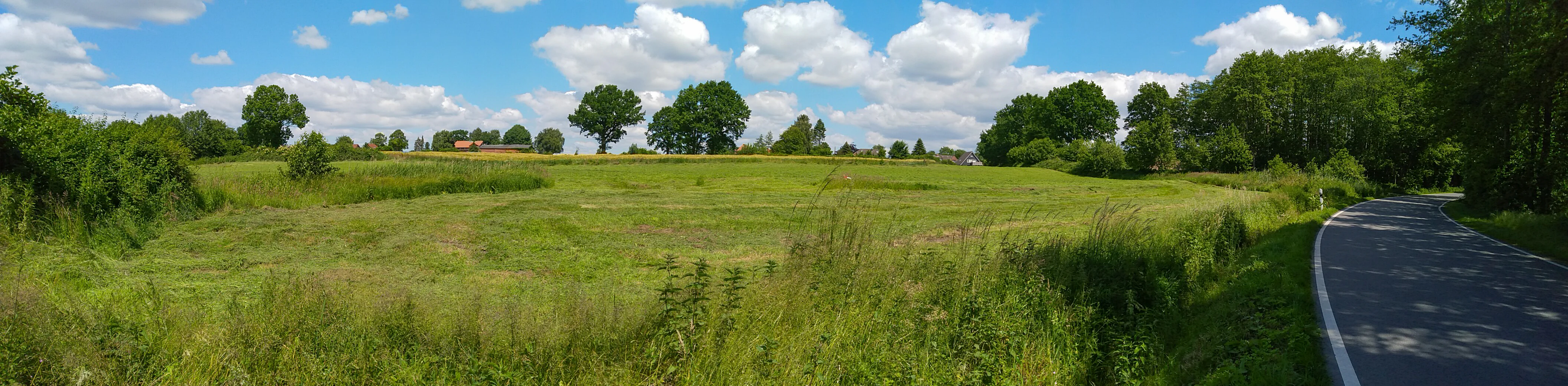 A wide, panoramic view of a grassy meadow and field in the foreground, with a paved road curving along the right side and mature trees in the background under a blue sky with white clouds.