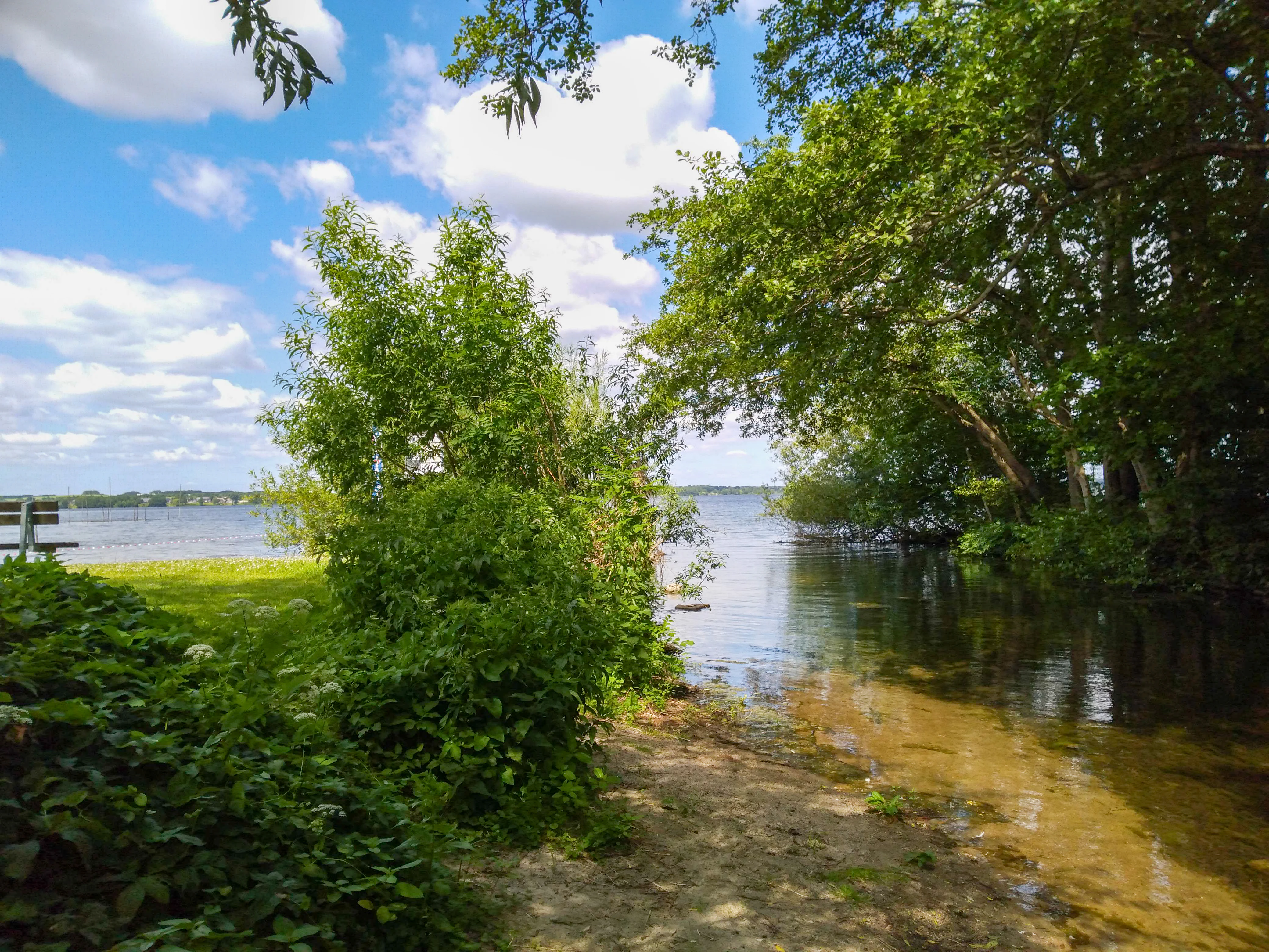 A view of a lake shore with a small sandy inlet in the foreground, surrounded by lush green trees and bushes, under a blue sky with white clouds.