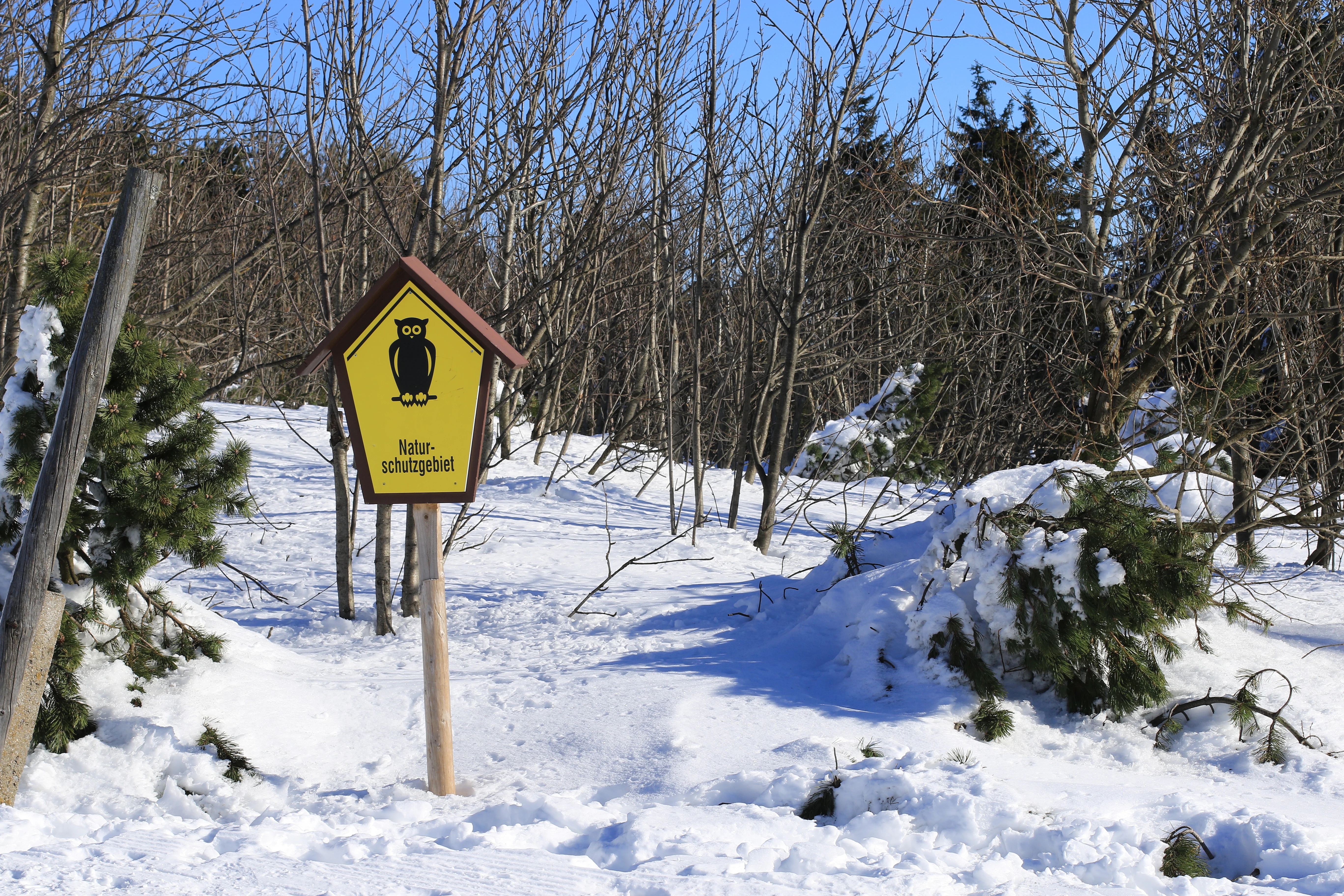 A yellow pentagonal nature reserve sign featuring a black owl silhouette stands on a wooden post in a snowy, wooded environment.