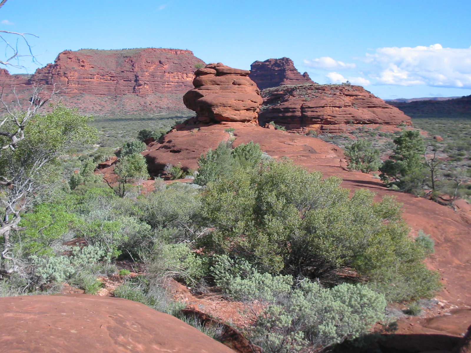 Red rock amphitheater landscape with green shrubs and trees under a clear blue sky