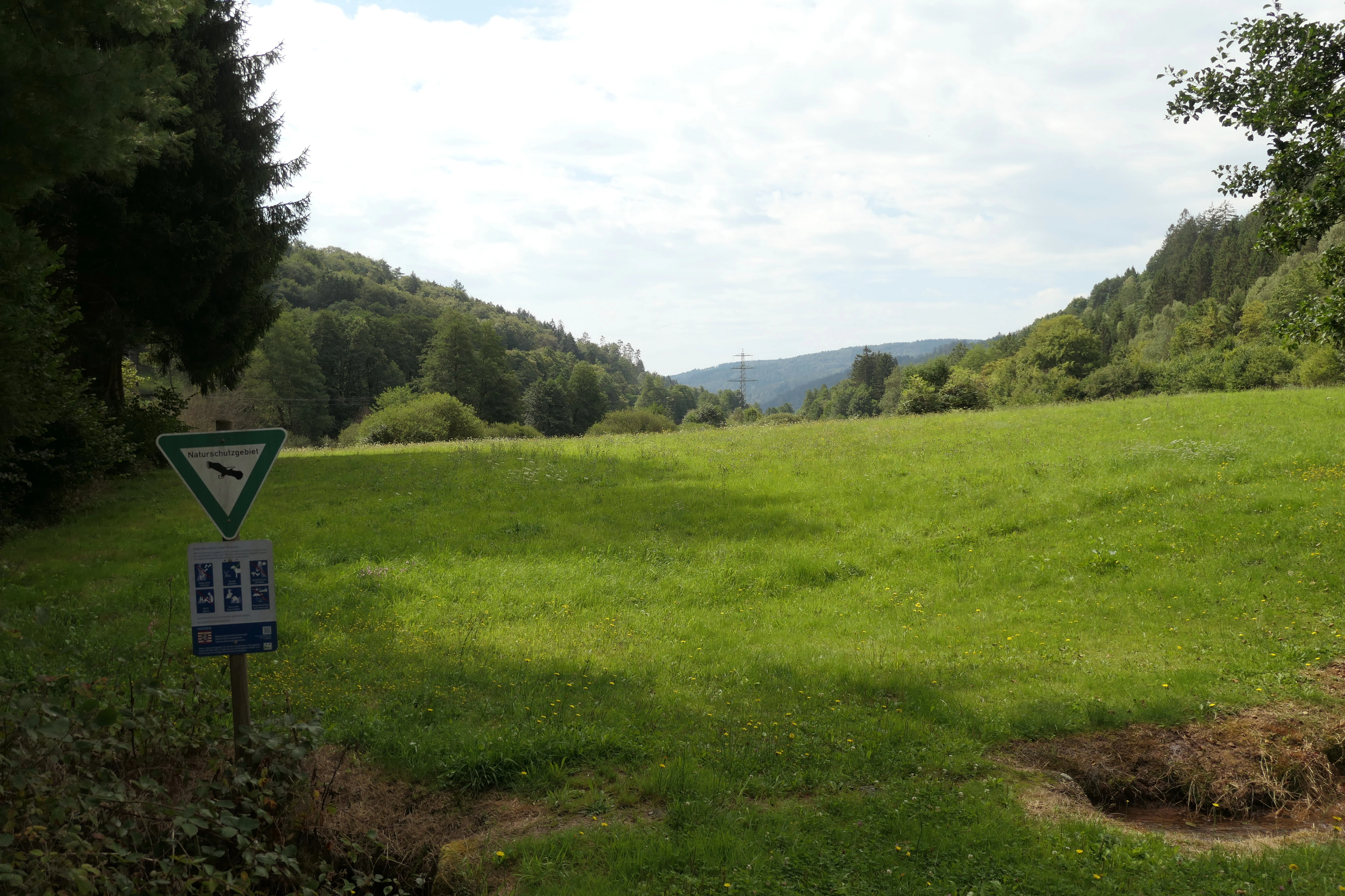 A wide shot of a green meadow in a valley in Hesse, Germany, with a white and green nature reserve sign on the left.