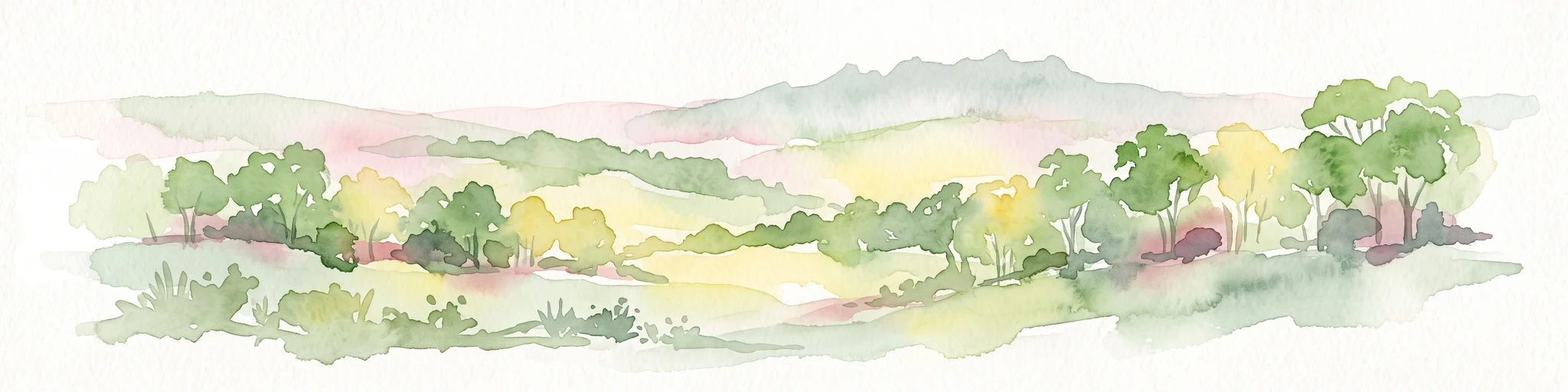 Watercolor painting of a panoramic landscape featuring rolling hills, scattered trees, and soft brushwork depicting a natural forest and scrub environment.