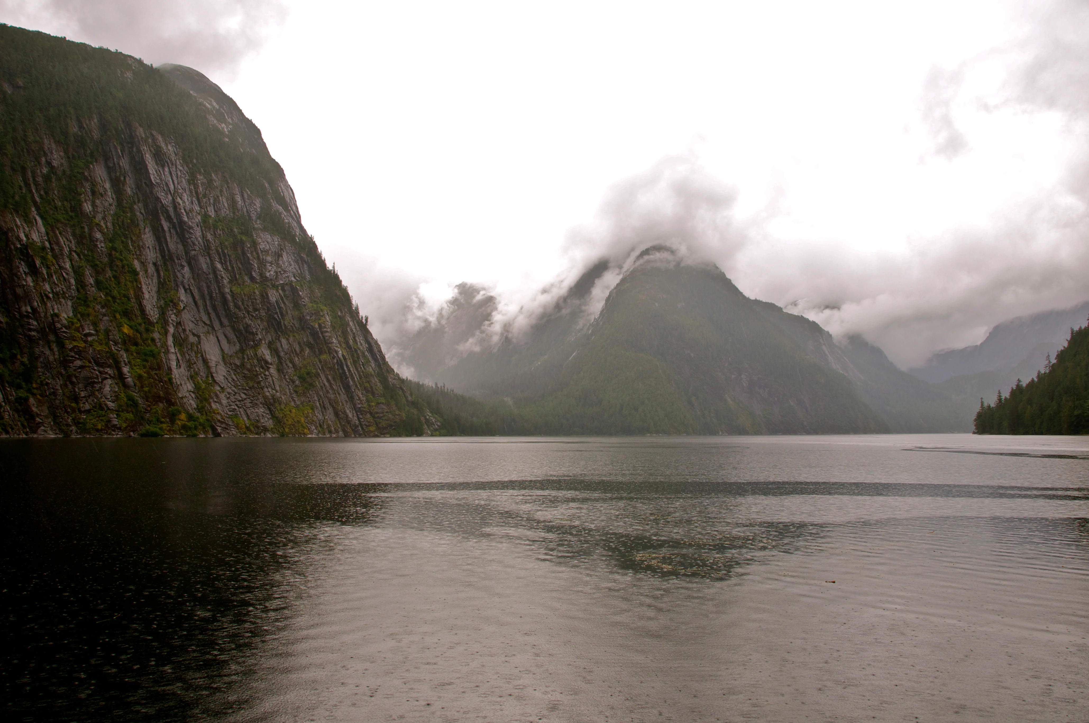 A wide, eye-level shot looking out over a calm, dark body of water surrounded by steep, mist-covered mountain slopes and dense forest under an overcast sky.