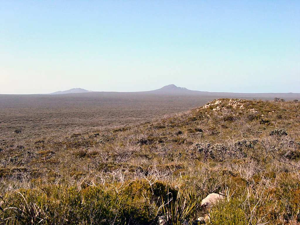 Vast open landscape with sparse vegetation and low-lying hills under a clear blue sky