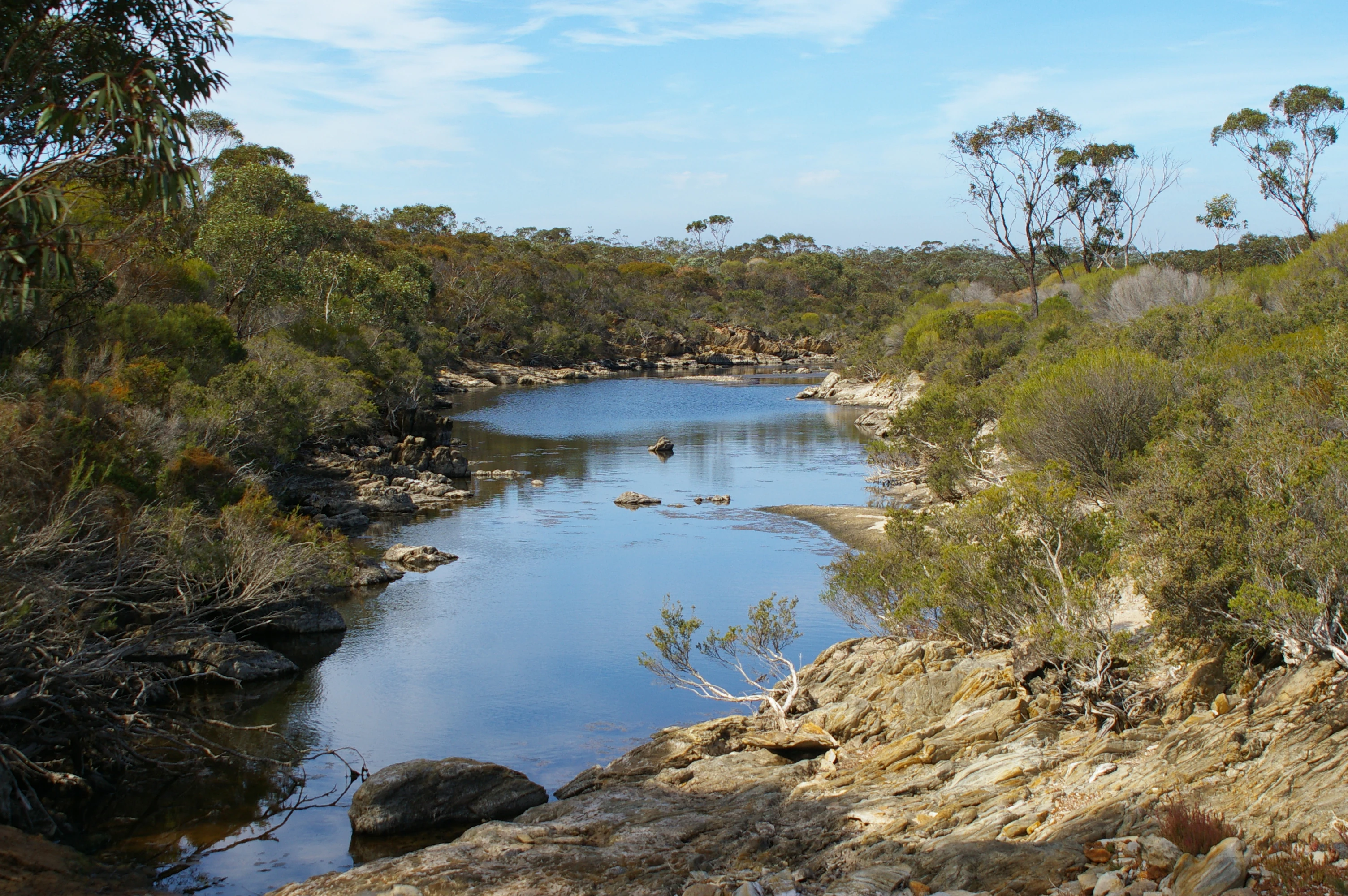 A river with clear blue water flows through rocky terrain surrounded by dense vegetation and trees under a bright sky