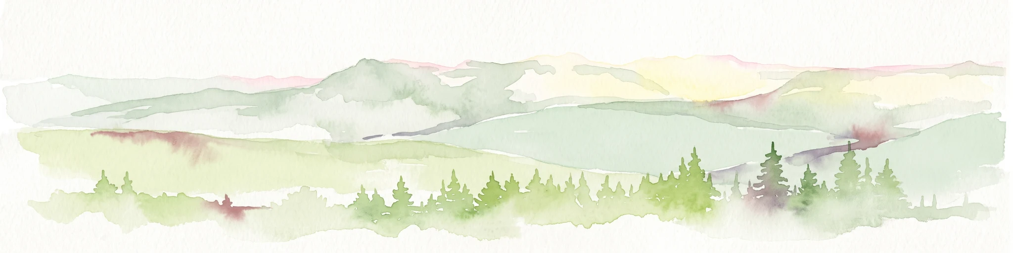 Una ilustración suave en acuarela con montañas de cimas planas y onduladas al fondo y una línea densa de árboles coníferos en primer plano.