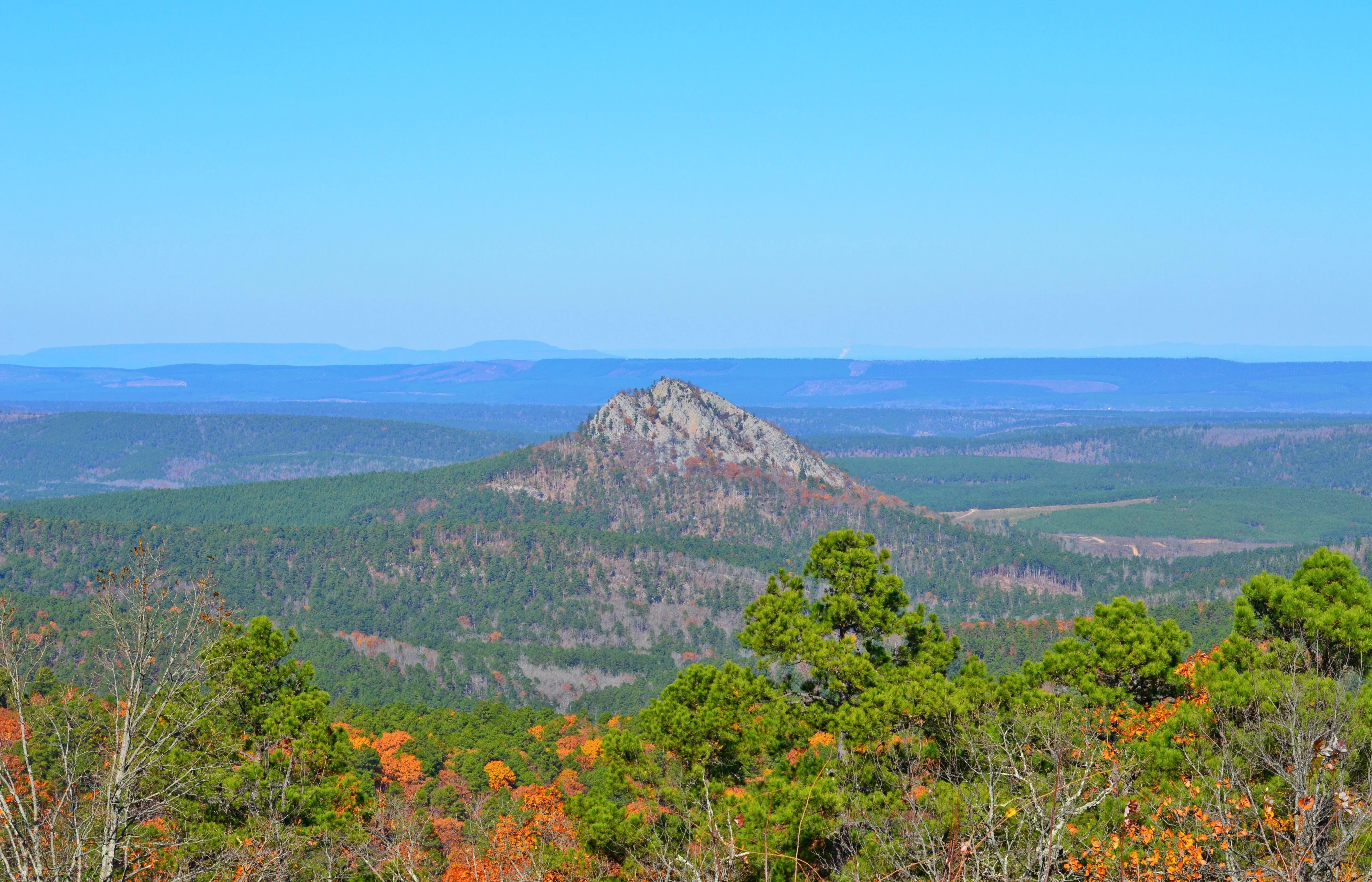 A wide, eye-level landscape shot of a rocky, pyramid-shaped mountain peak surrounded by dense, mixed-color forest under a clear blue sky.