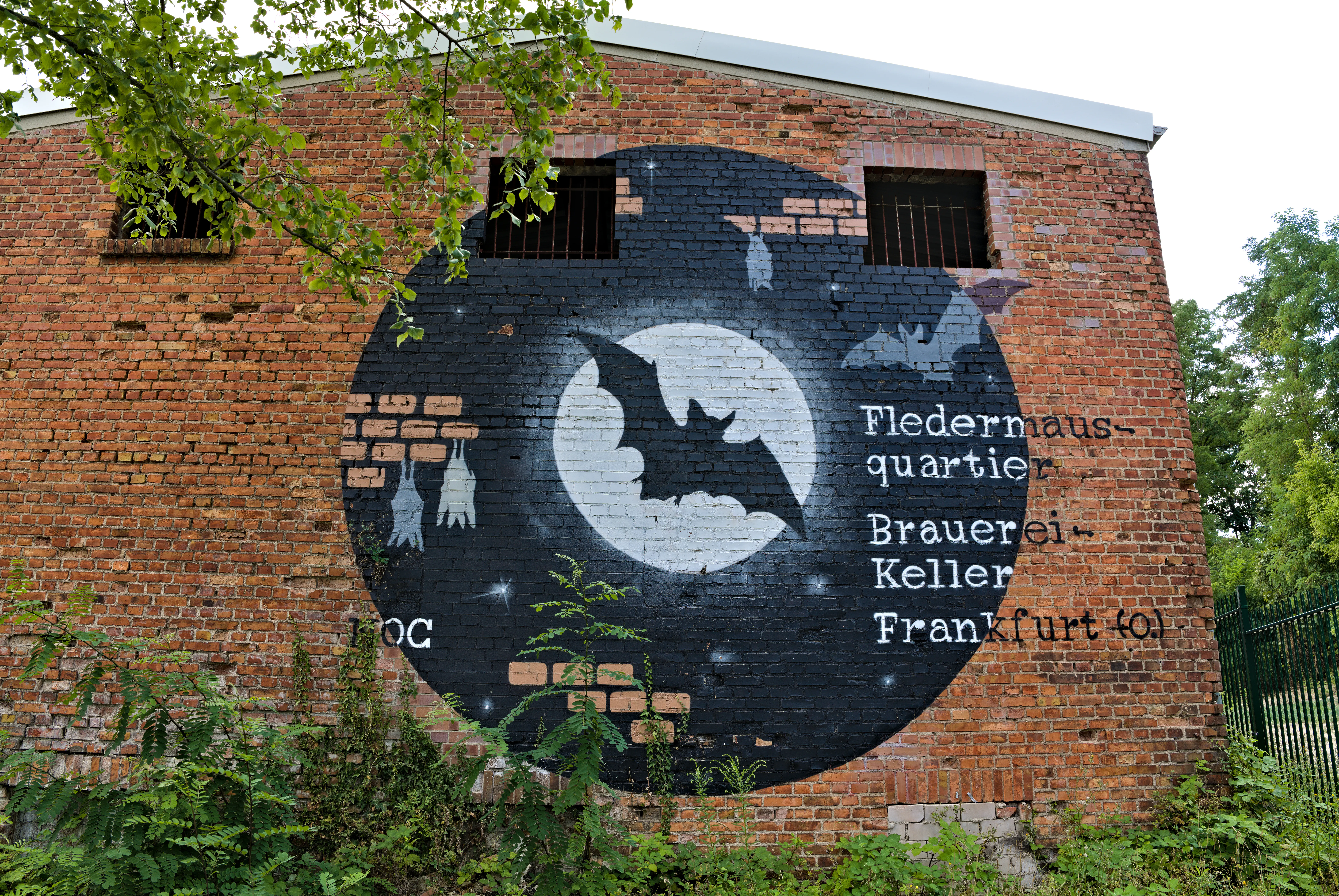 A red brick wall featuring a large circular black mural depicting a bat in front of a white full moon; the German text Fledermausquartier Brauereikeller Frankfurt (Oder) is painted on the right side.