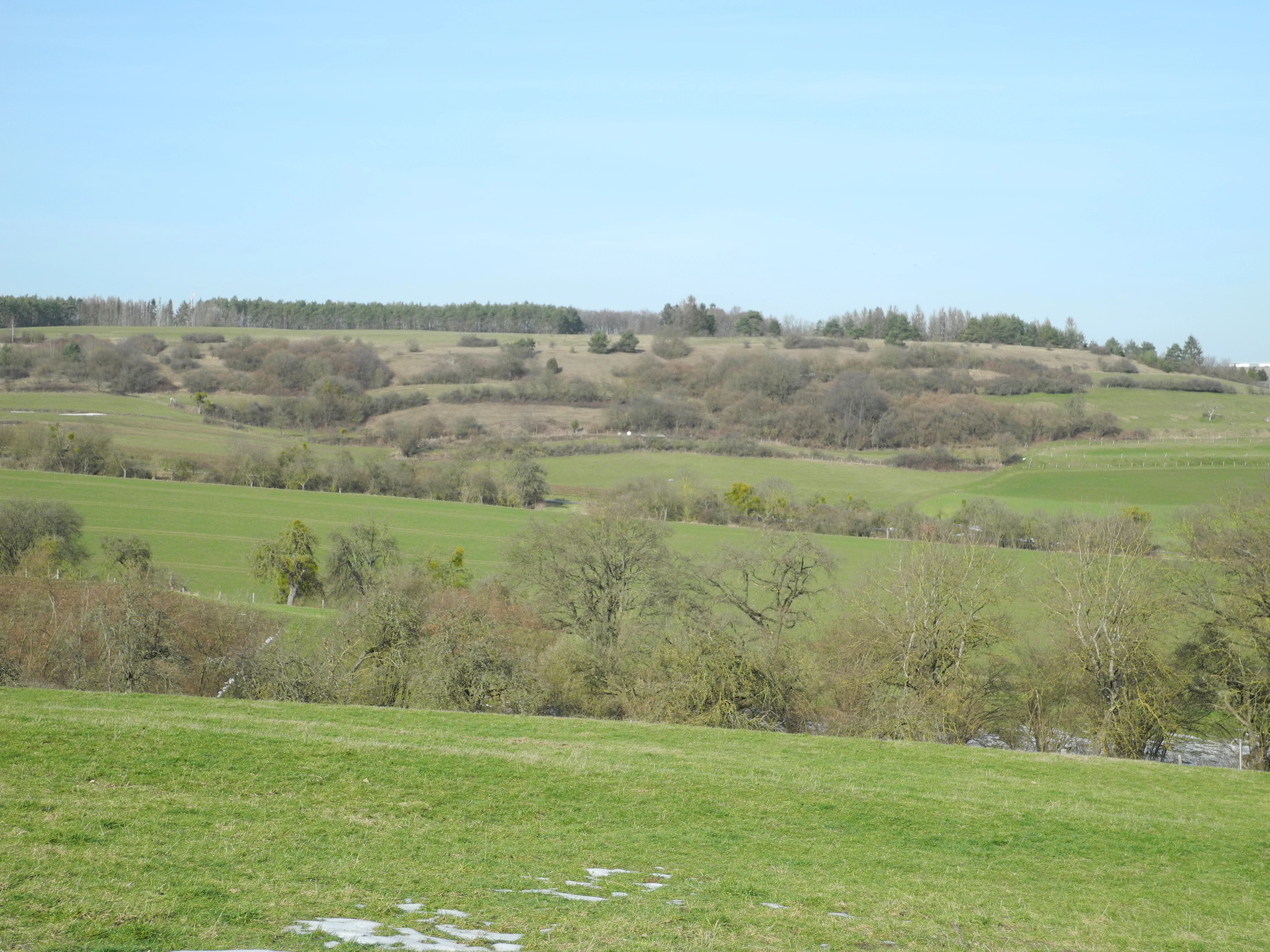 A wide, outdoor shot of a hilly, green rural landscape with scattered bushes and trees under a clear light blue sky.