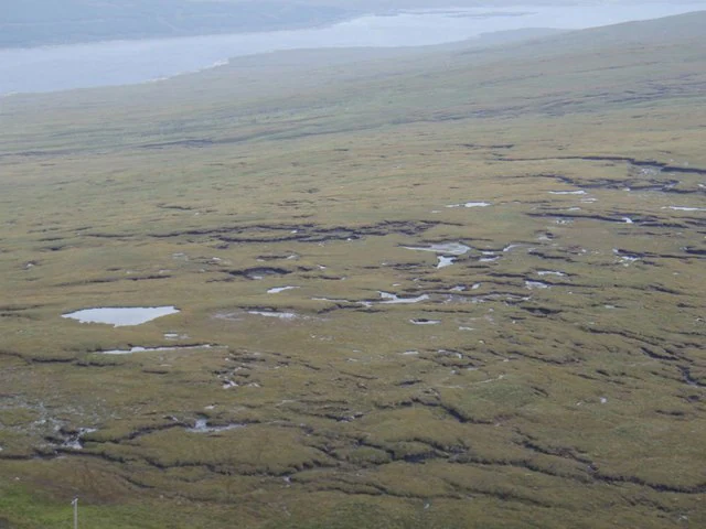A wide, elevated view of a vast, flat, grassy peatland landscape with numerous small ponds and dark, winding drainage channels leading toward a larger body of water in the distance.