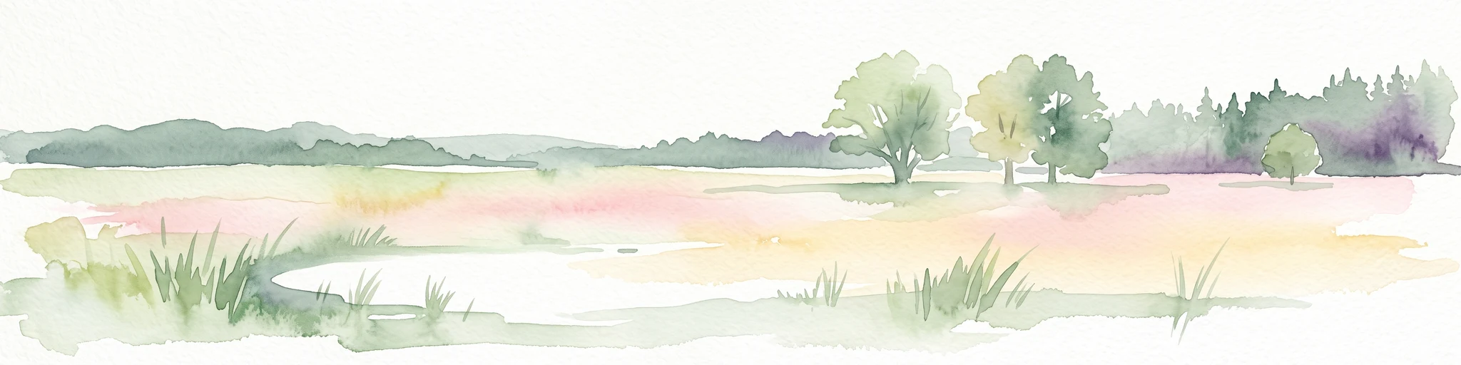 A soft watercolor illustration of a lowland wetland landscape with a small pool of water, grasses, and scattered trees under a light sky.