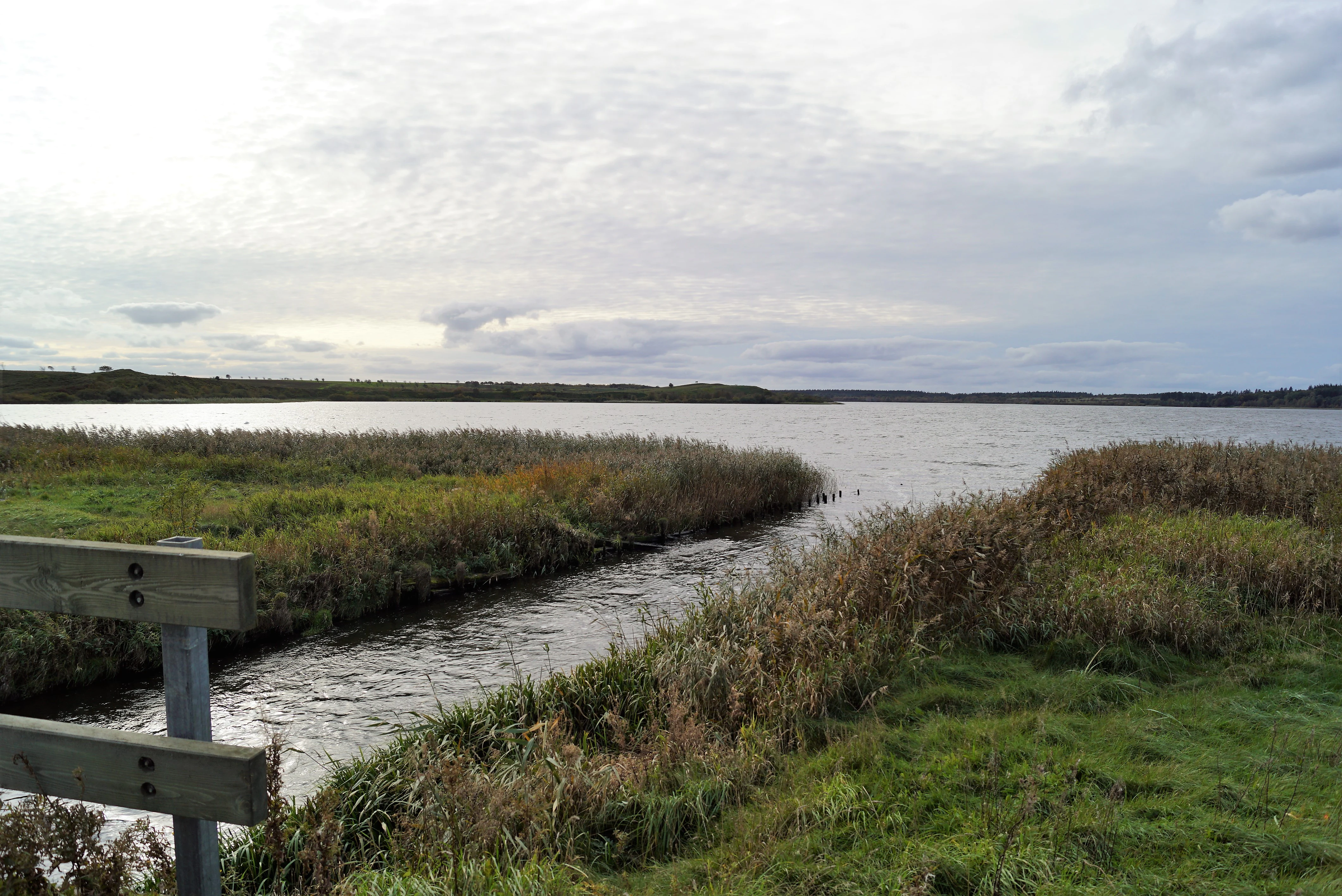 A wide, calm lake landscape under a cloudy sky, with a stream flowing out of the lake in the foreground and tall grasses along the banks.