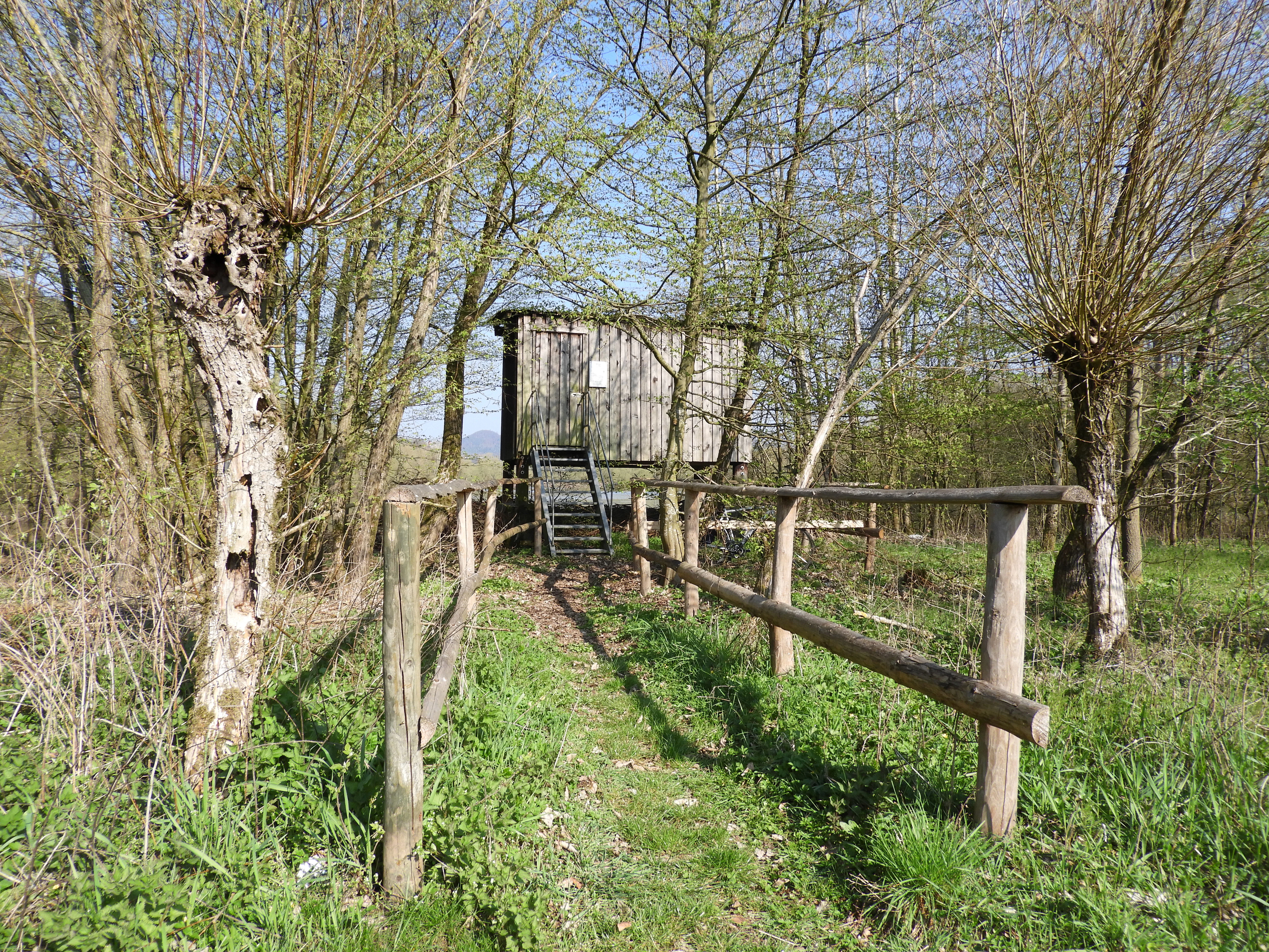 Forbachsee bei Bebra Nature Reserve
